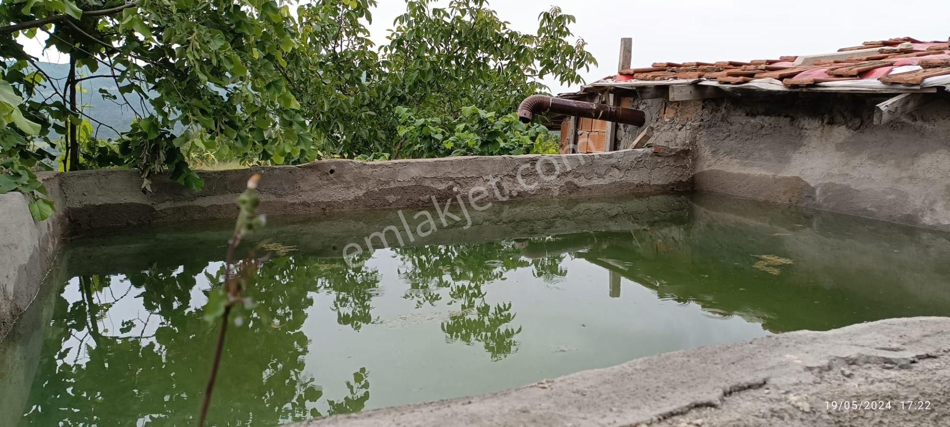 Nilvest'ten Bursa Kestel Ağlaşan Köyünde 20 Dönüm Arazi - Görsel 6