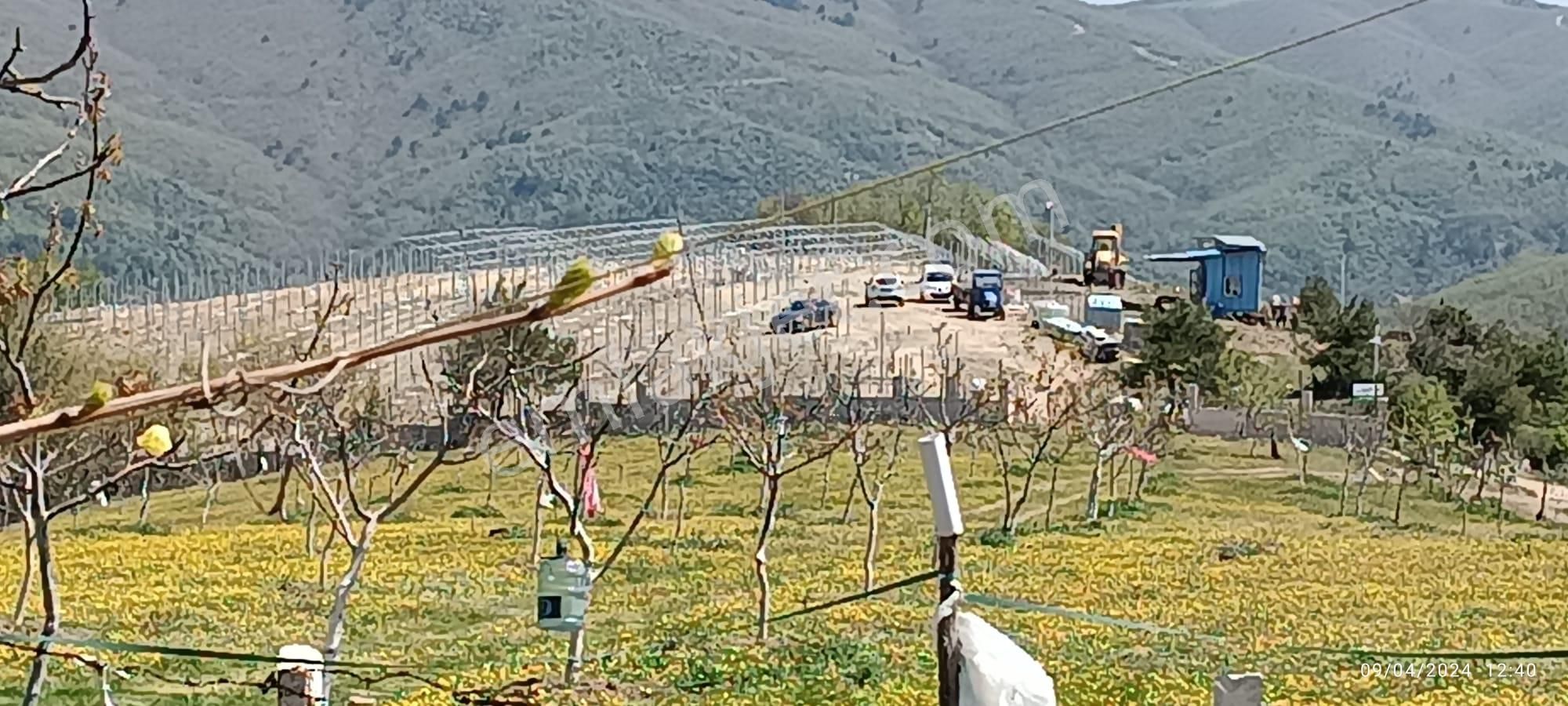 Nilvest'ten Bursa Kestel Ağlaşan Köyünde 20 Dönüm Arazi - Görsel 2