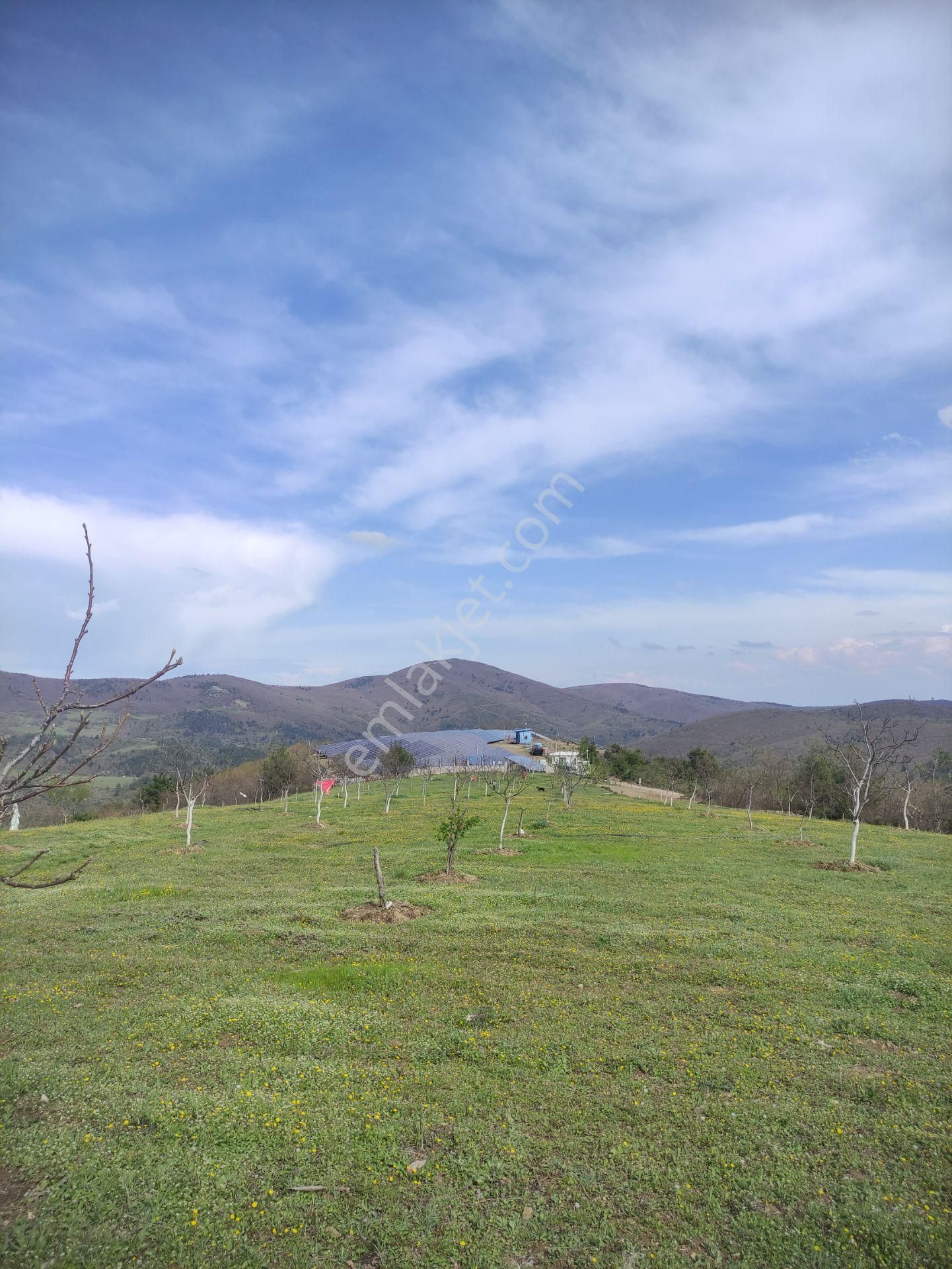 Nilvest'ten Bursa Kestel Ağlaşan Köyünde 20 Dönüm Arazi - Görsel 3