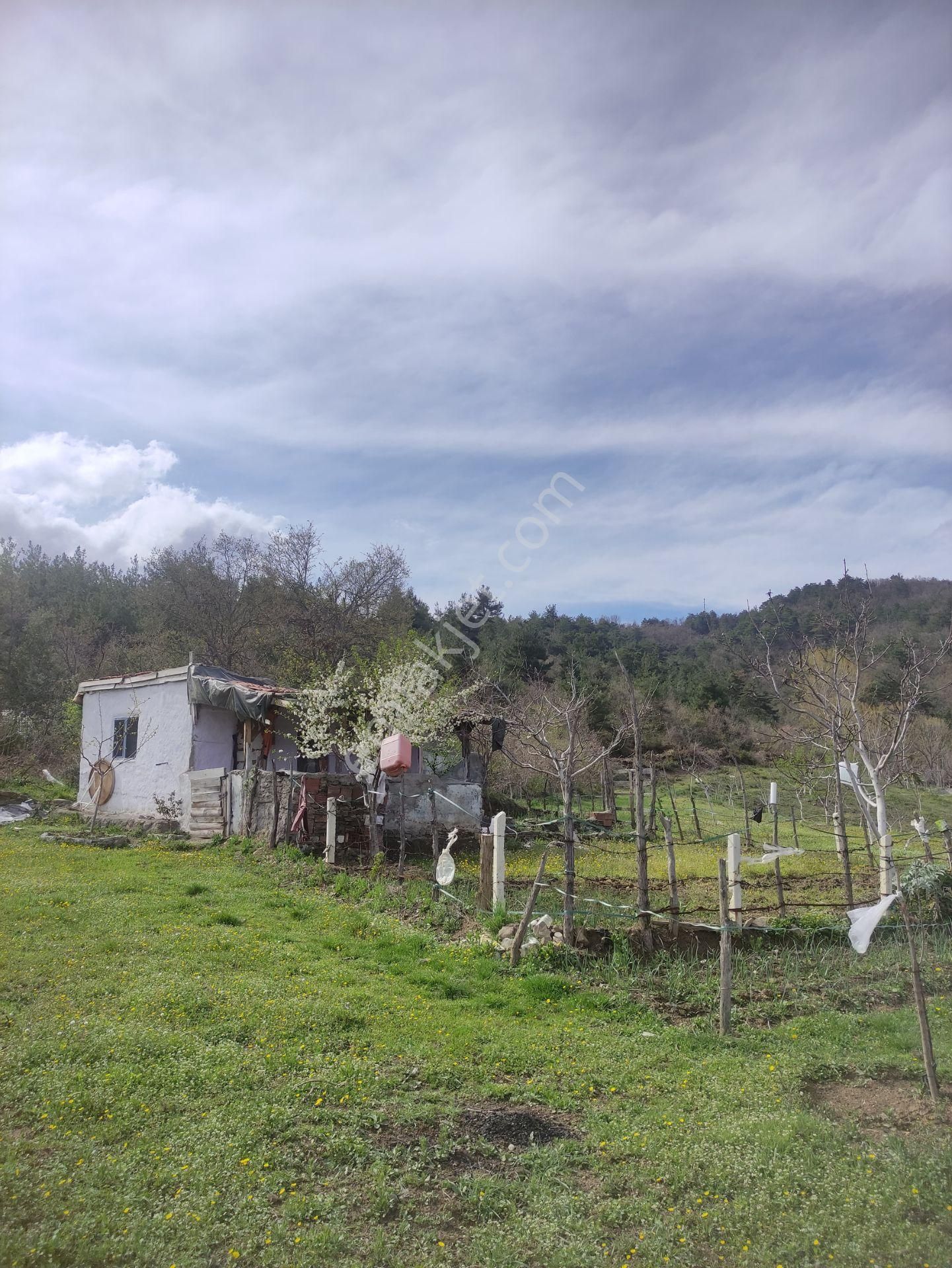 Nilvest'ten Bursa Kestel Ağlaşan Köyünde 20 Dönüm Arazi - Görsel 5