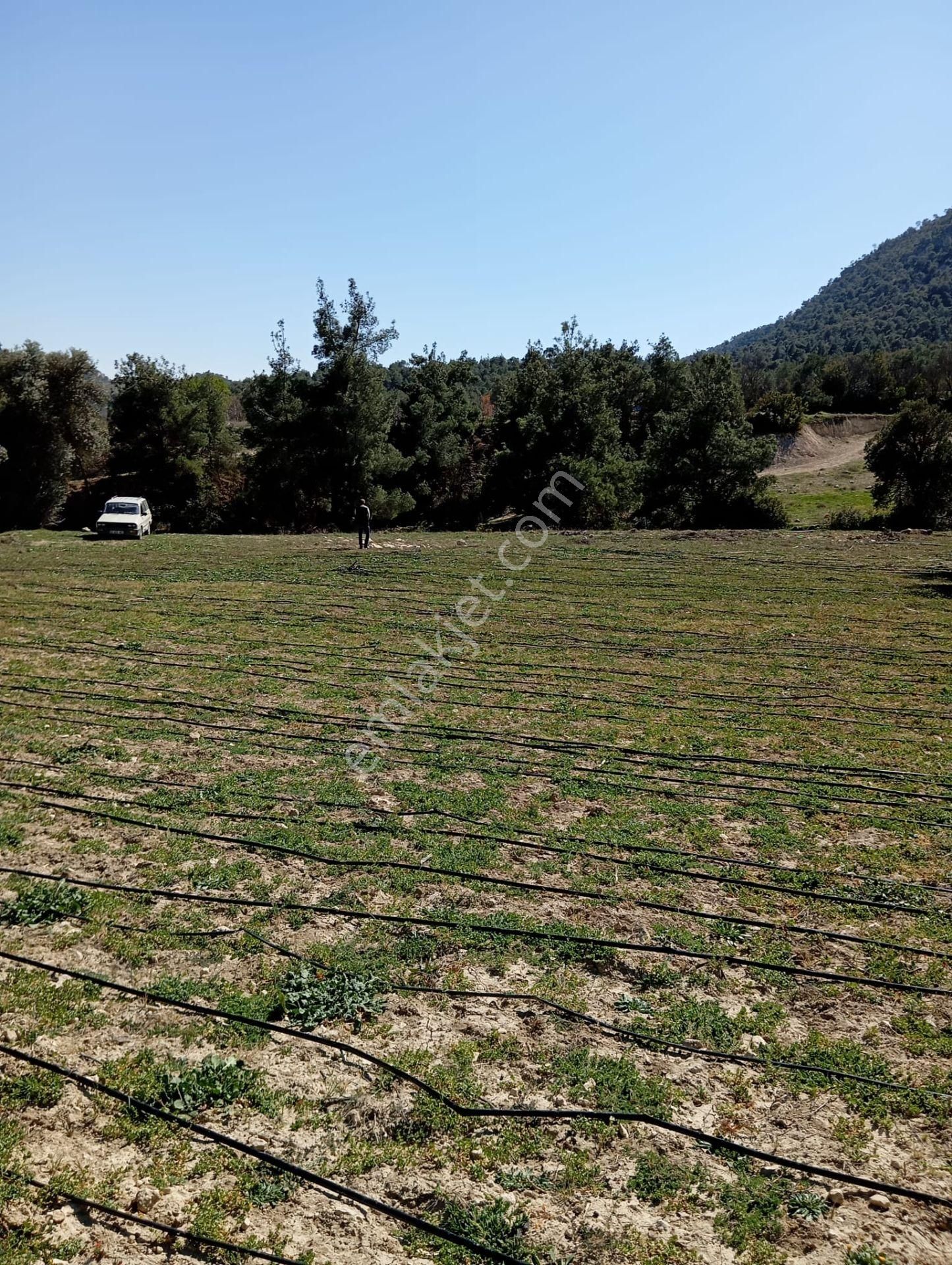 Buldan Yenicekent Mah.de Temiz Hava İçerisinde Yaşayacağınız Ormanın İçerisinde Satılık Tarla