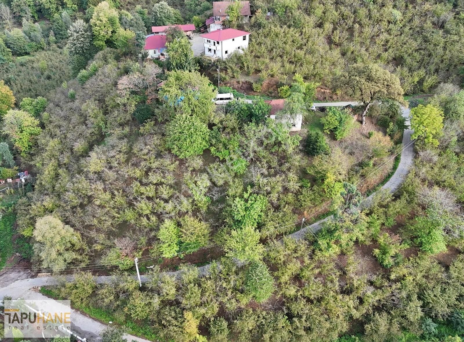 Tapuhane'den Çamlıca Merkezde 3,120m2 Satılık Arsamız - Görsel 2