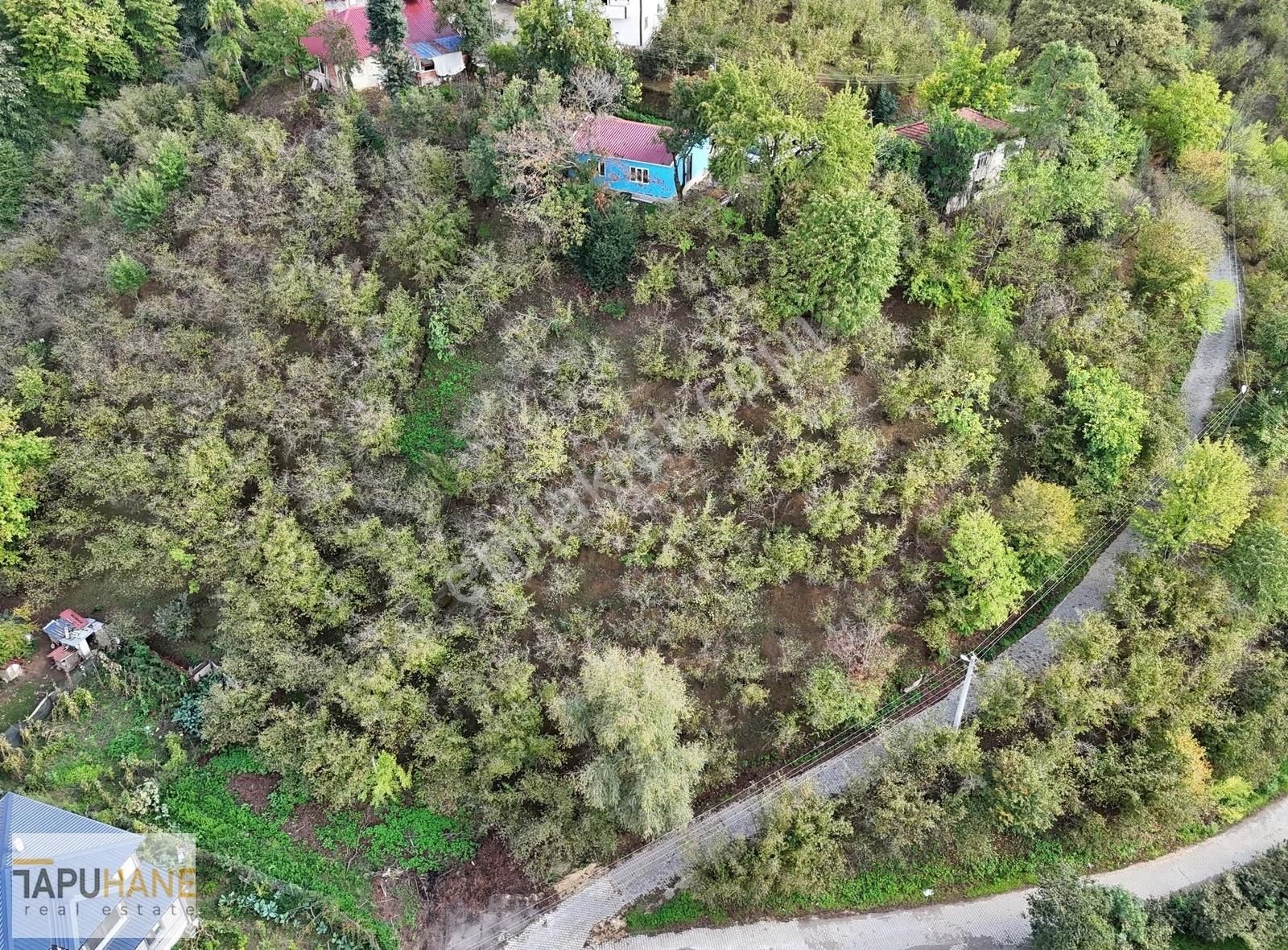 Tapuhane'den Çamlıca Merkezde 3,120m2 Satılık Arsamız - Görsel 8