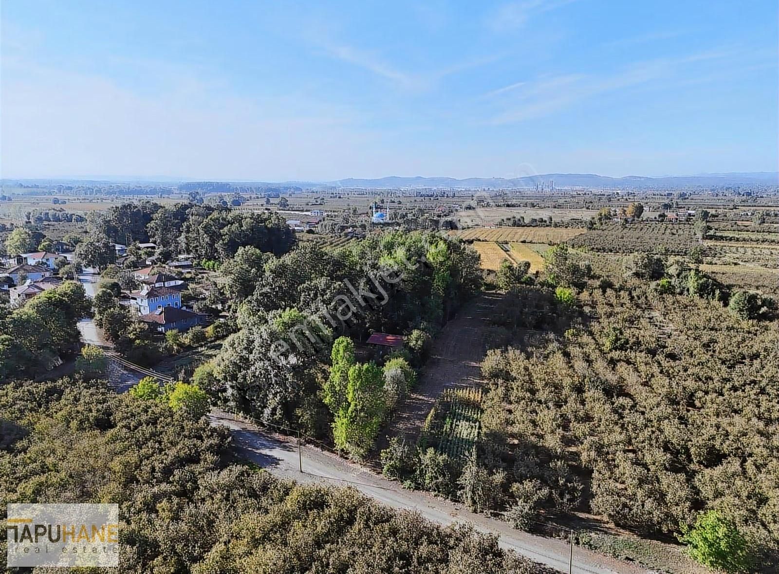 Tapuhane'den Çayırbaşında 3670 M2 Satılık Fındıklık - Görsel 11