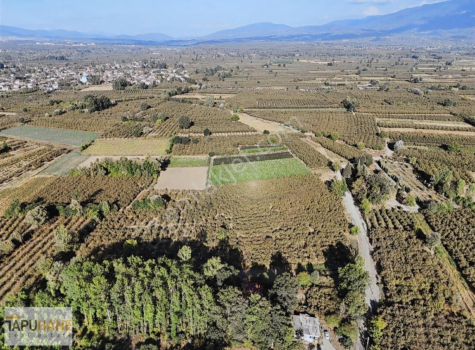 Tapuhane'den Çayırbaşında 3670 M2 Satılık Fındıklık - Görsel 7