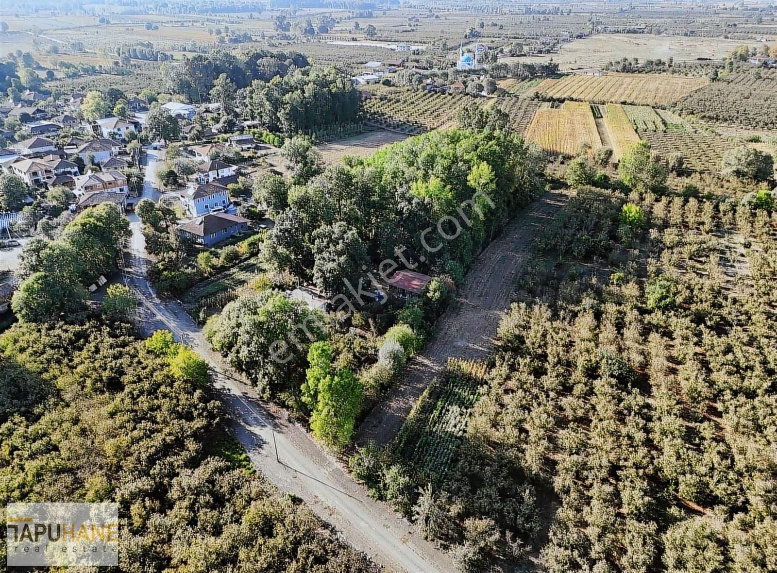 Tapuhane'den Çayırbaşında 3670 M2 Satılık Fındıklık - Görsel 17