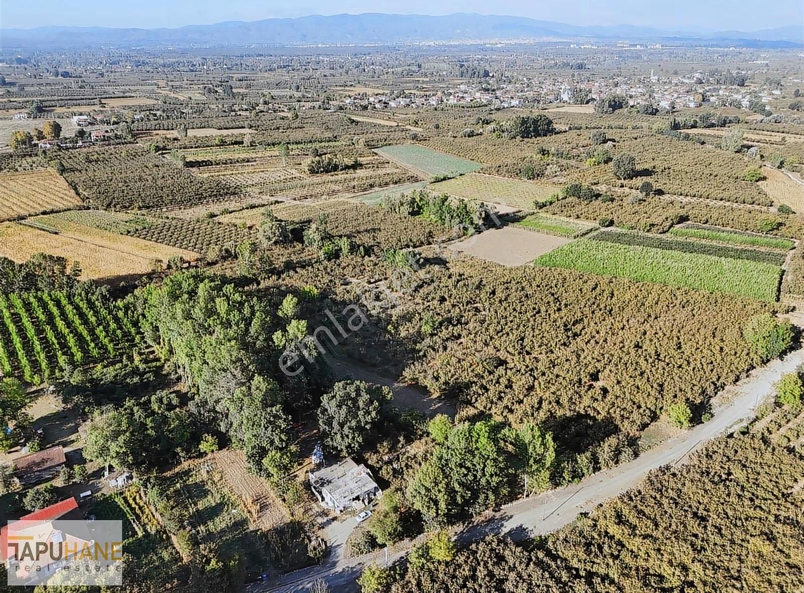 Tapuhane'den Çayırbaşında 3670 M2 Satılık Fındıklık - Görsel 23