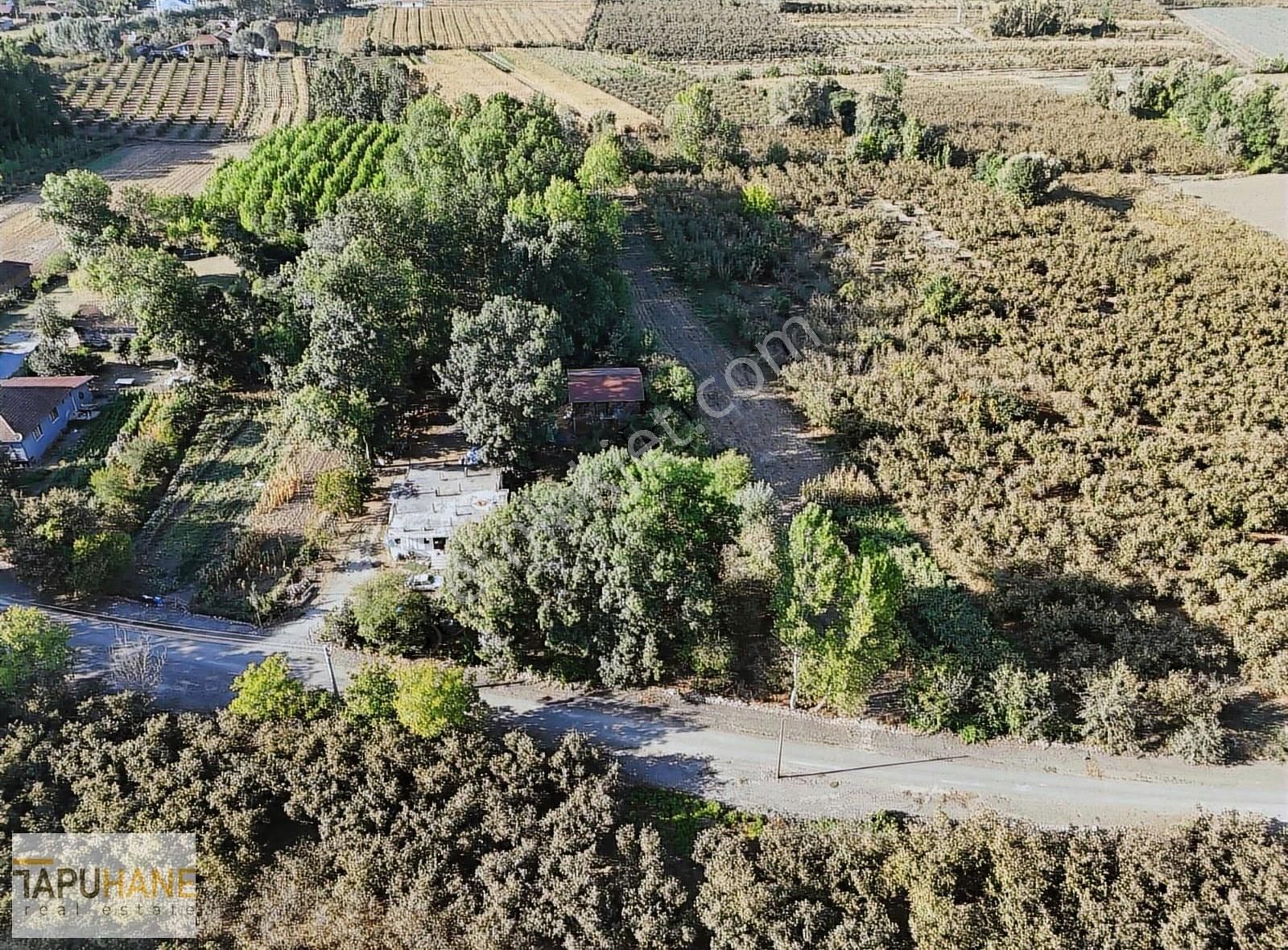 Tapuhane'den Çayırbaşında 3670 M2 Satılık Fındıklık - Görsel 12