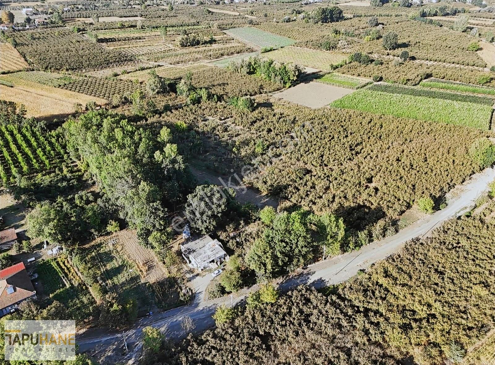 Tapuhane'den Çayırbaşında 3670 M2 Satılık Fındıklık - Görsel 25