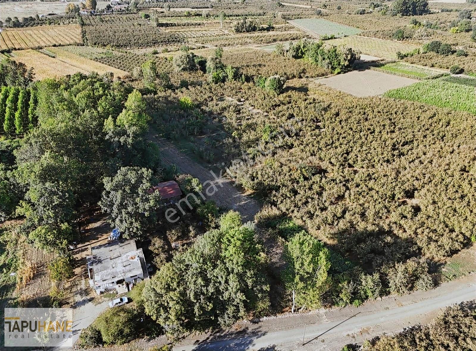 Tapuhane'den Çayırbaşında 3670 M2 Satılık Fındıklık - Görsel 21