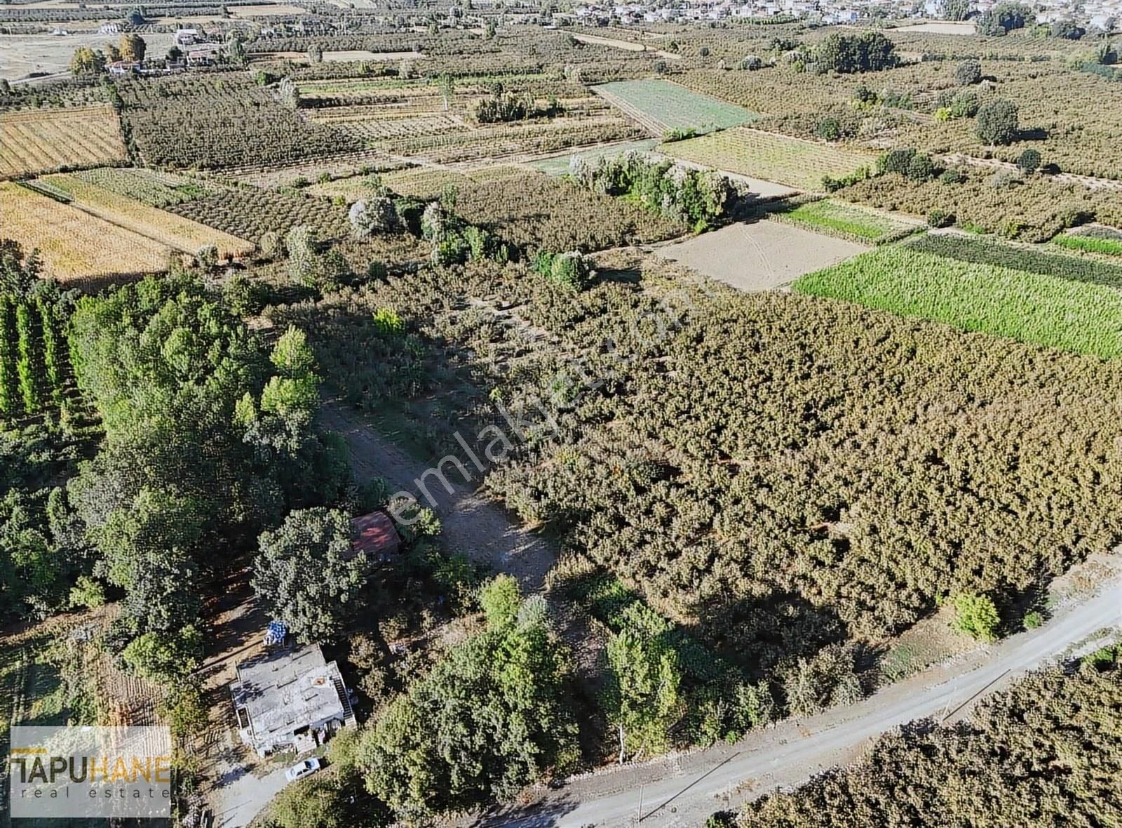 Tapuhane'den Çayırbaşında 3670 M2 Satılık Fındıklık - Görsel 13