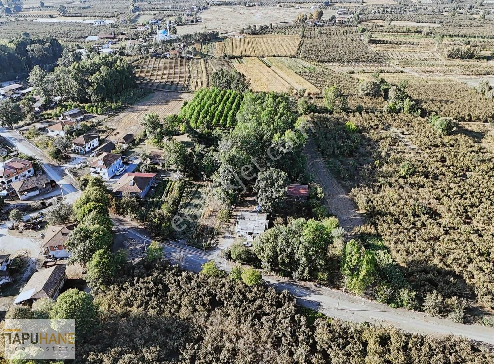 Tapuhane'den Çayırbaşında 3670 M2 Satılık Fındıklık - Görsel 15