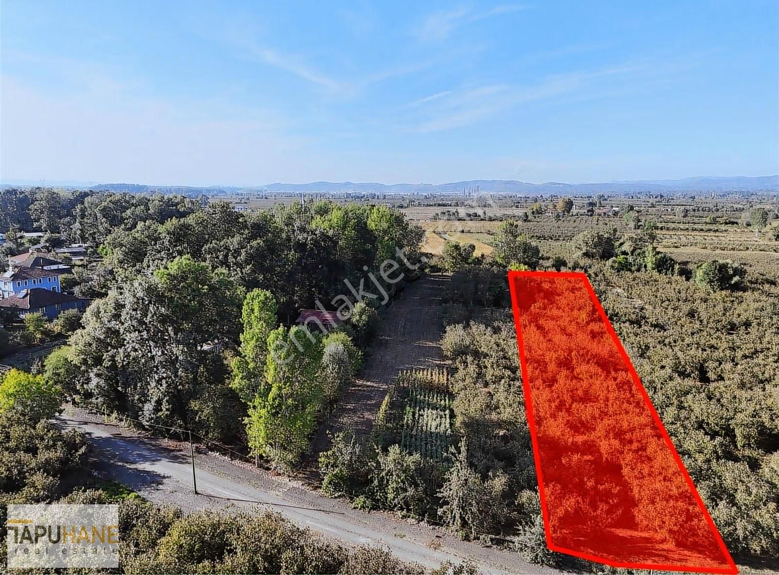 Tapuhane'den Çayırbaşında 3670 M2 Satılık Fındıklık - Görsel 5