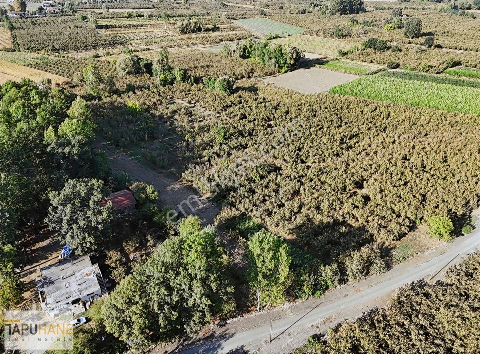 Tapuhane'den Çayırbaşında 3670 M2 Satılık Fındıklık - Görsel 18