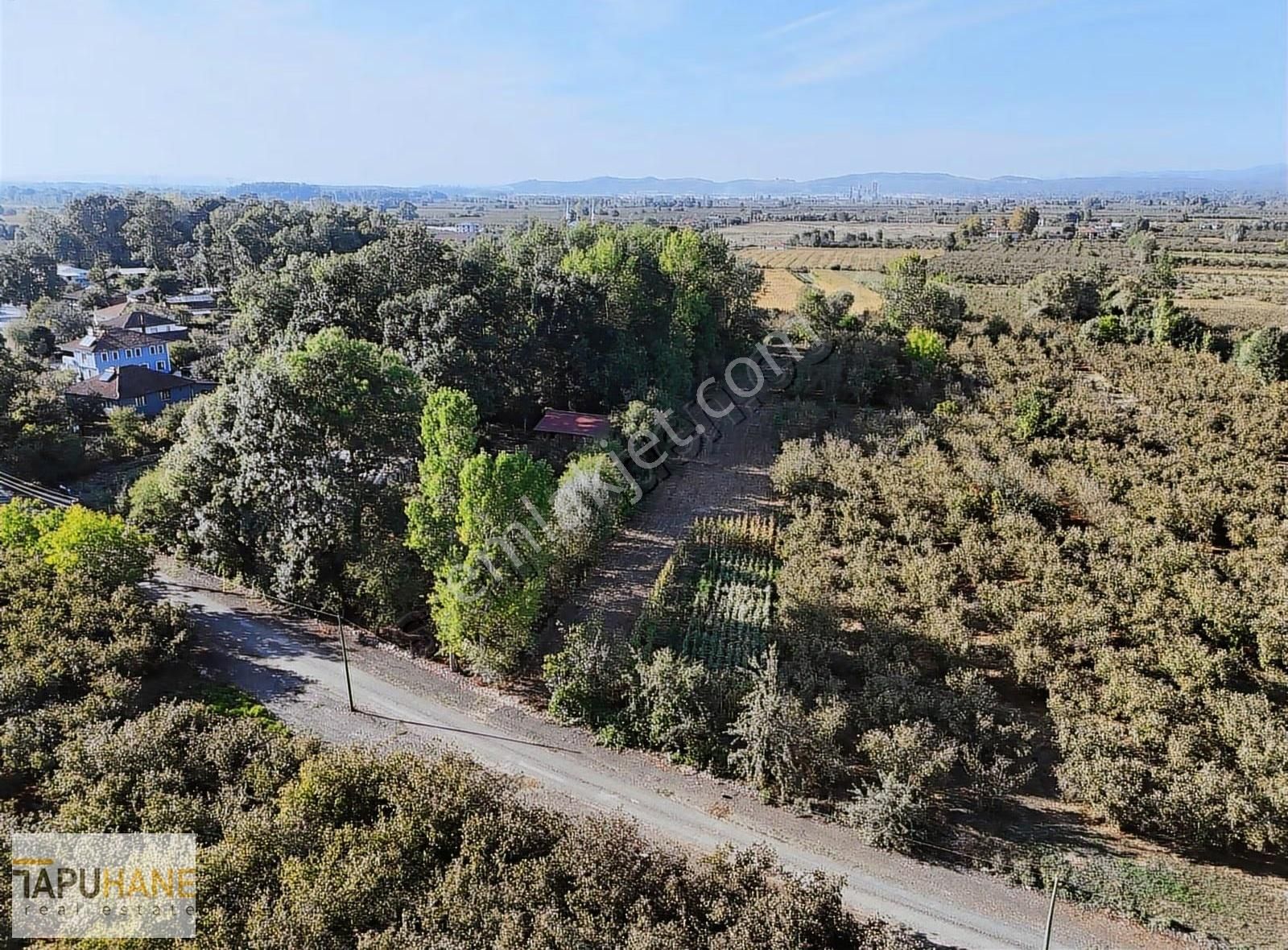 Tapuhane'den Çayırbaşında 3670 M2 Satılık Fındıklık - Görsel 19