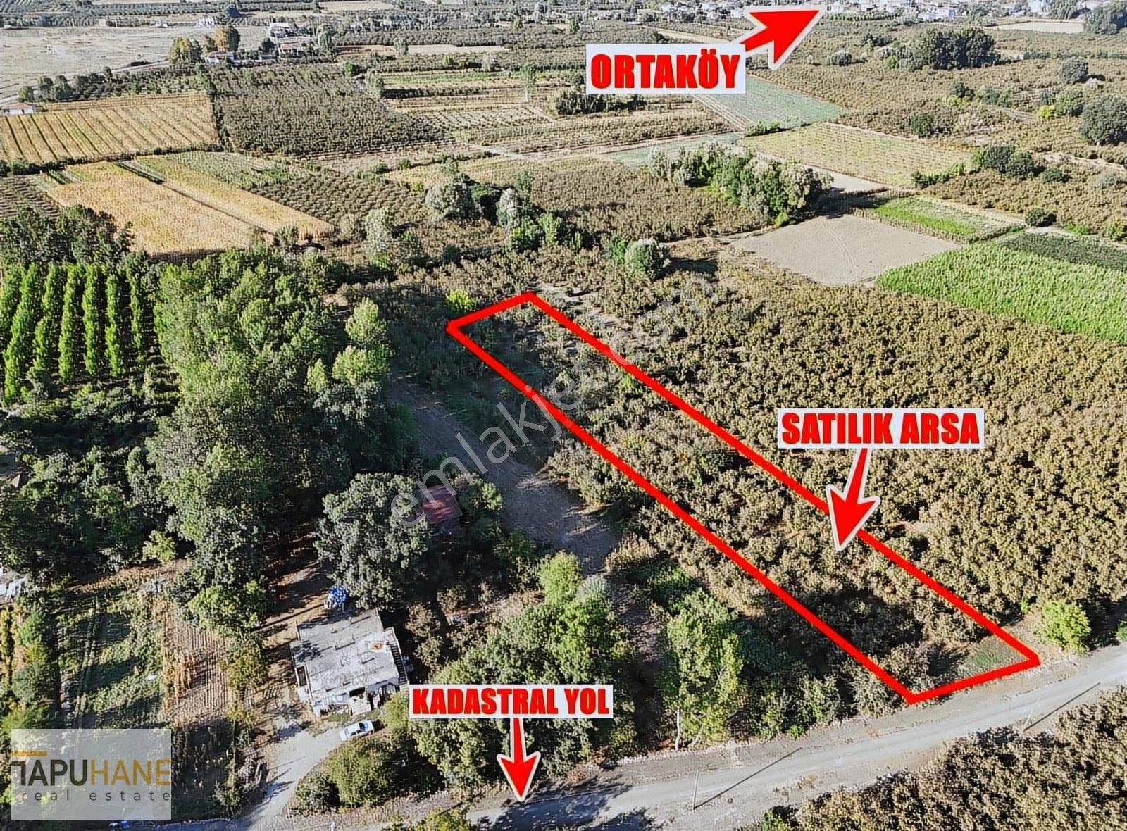 Tapuhane'den Çayırbaşında 3670 M2 Satılık Fındıklık - Görsel 4