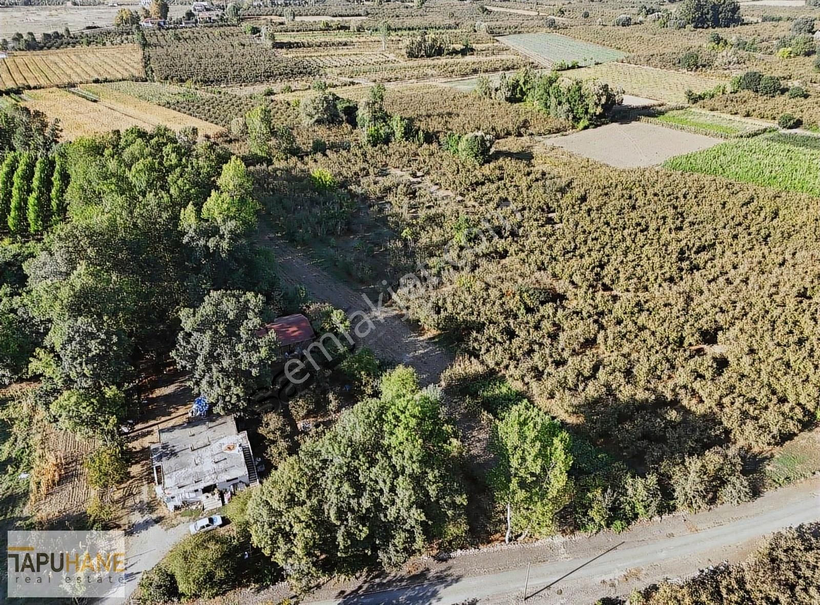 Tapuhane'den Çayırbaşında 3670 M2 Satılık Fındıklık - Görsel 20