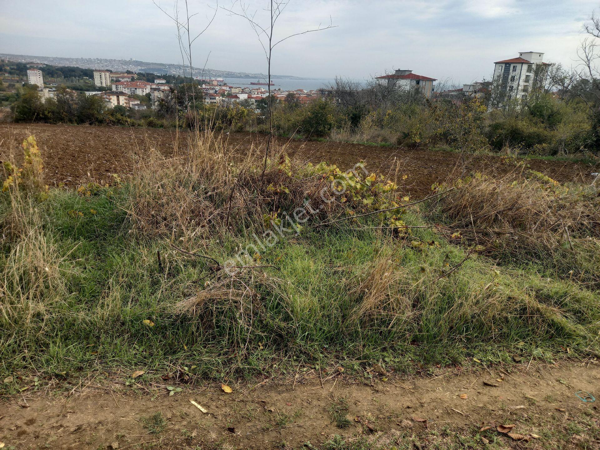 Altınovada Satılık 5 Kat İmarlı Arsa
