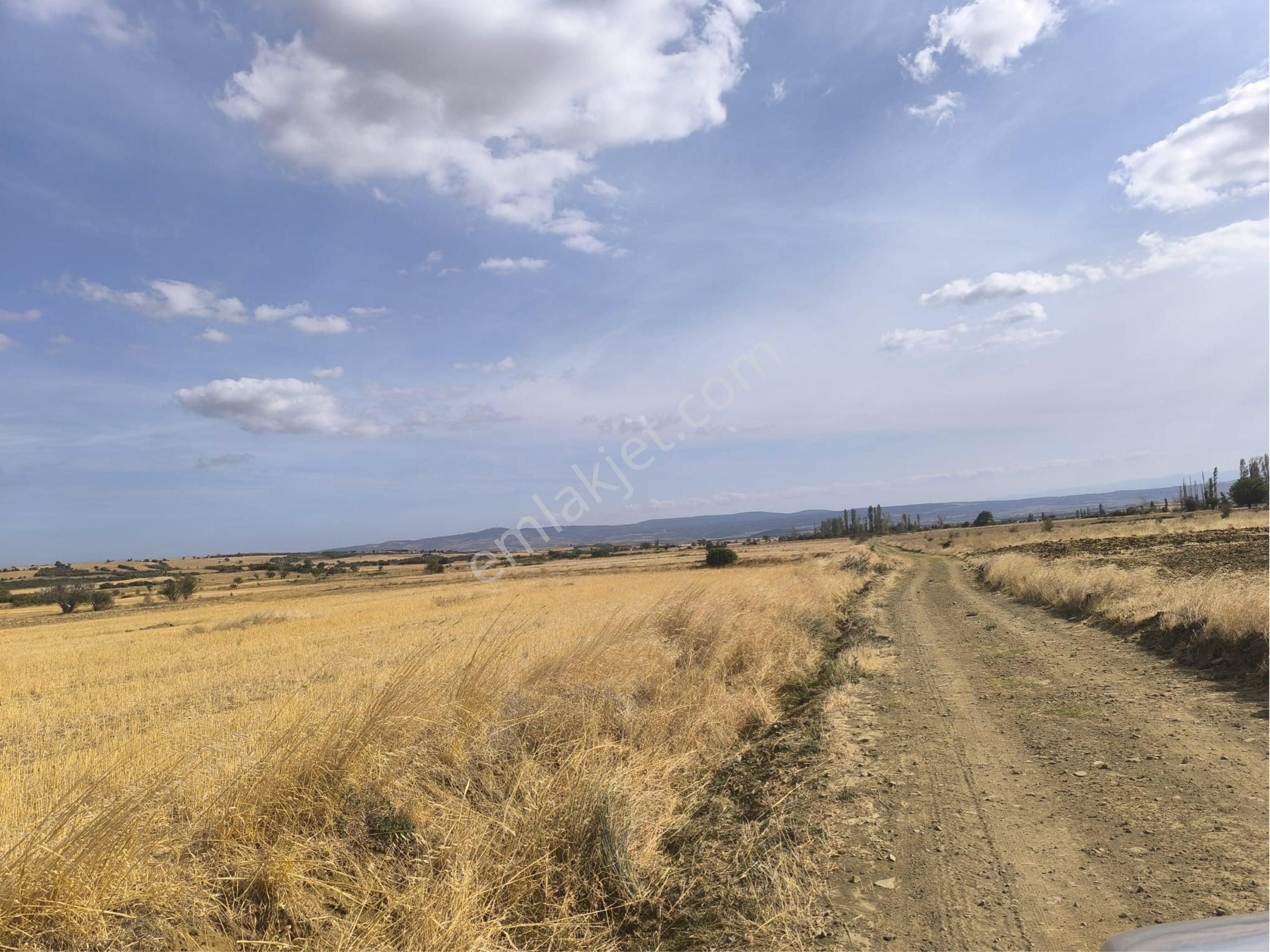 Çanakkale Gelibolu Bayramiç Köyünde 2991m2 Tek Tapu Yatırımlık Arsa - Görsel 5