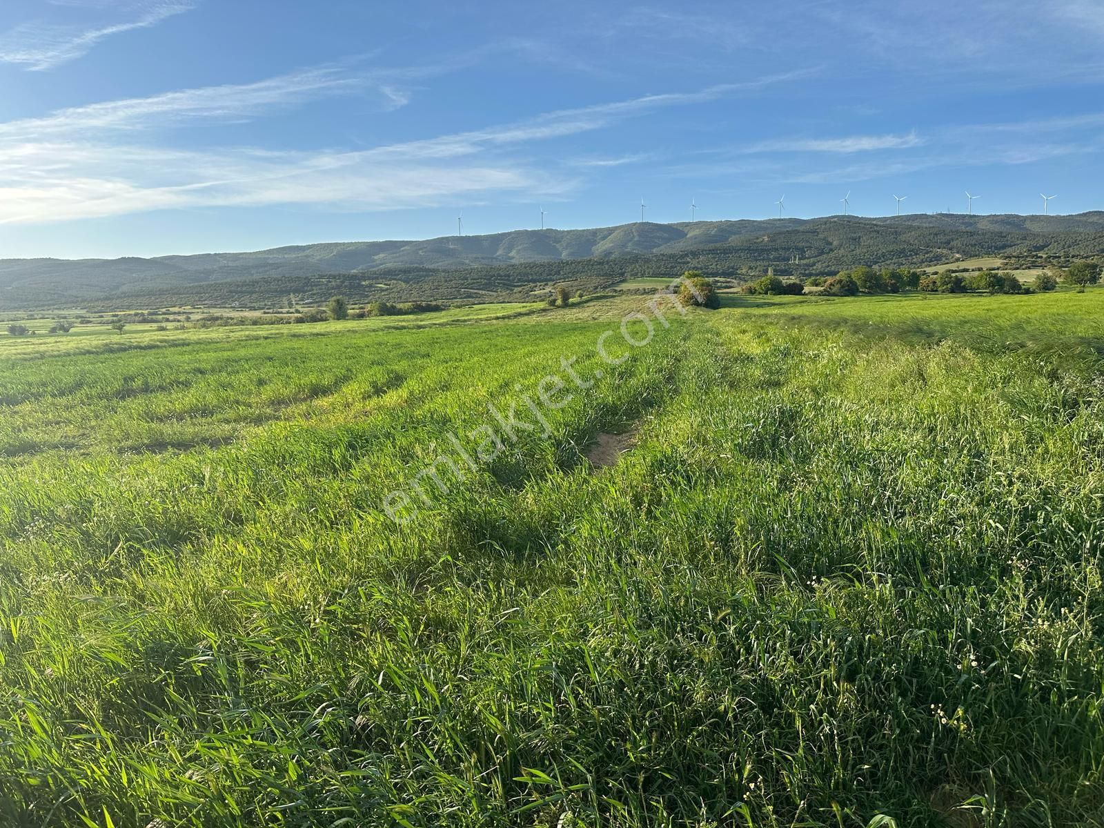 Çanakkale Gelibolu Bayramiç Köyünde 2991m2 Tek Tapu Yatırımlık Arsa - Görsel 6