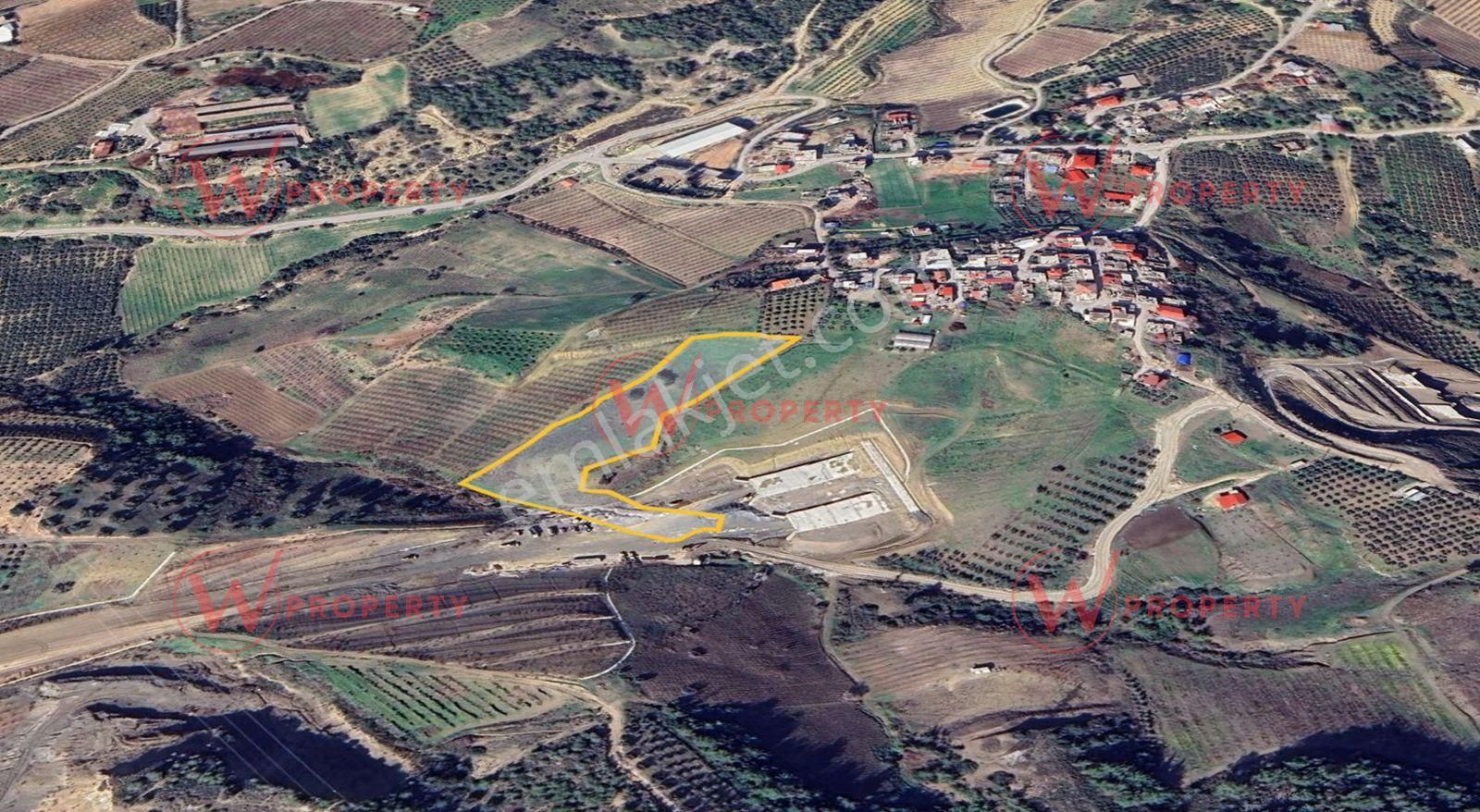 W Property Akdeniz Bağcılar/ihsaniye'de 7.509m2 Verimli Tarla - Görsel 7