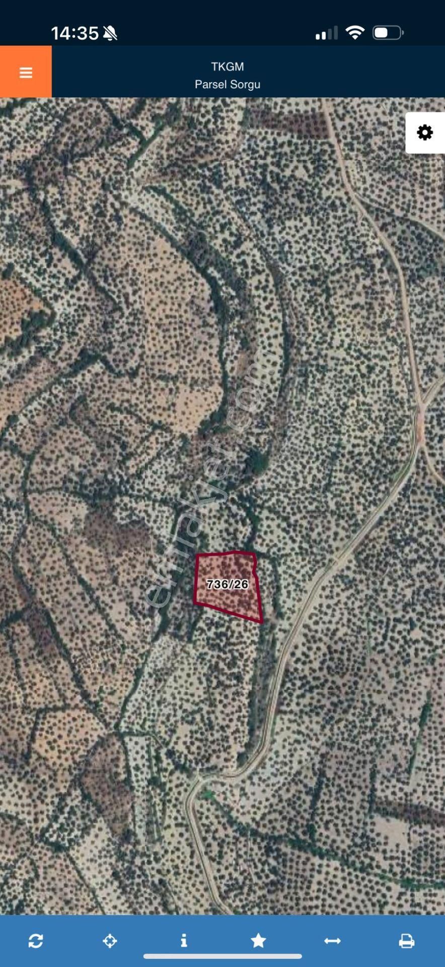 Rota'dan | Fırsat | Yatırıma Uygun Zeytinlik