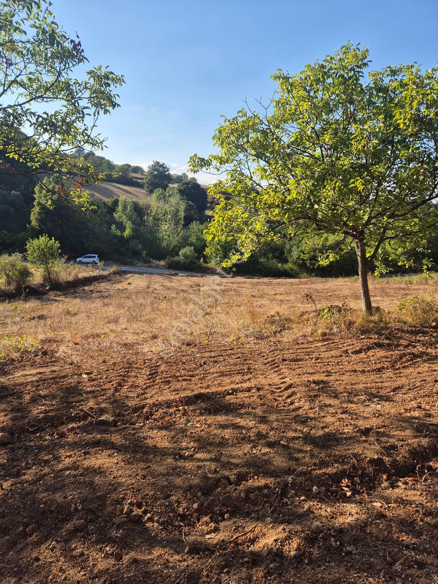 İnegöl Çitlide Asfalta Cephe 2.744 M2 Bahçe - Görsel 4