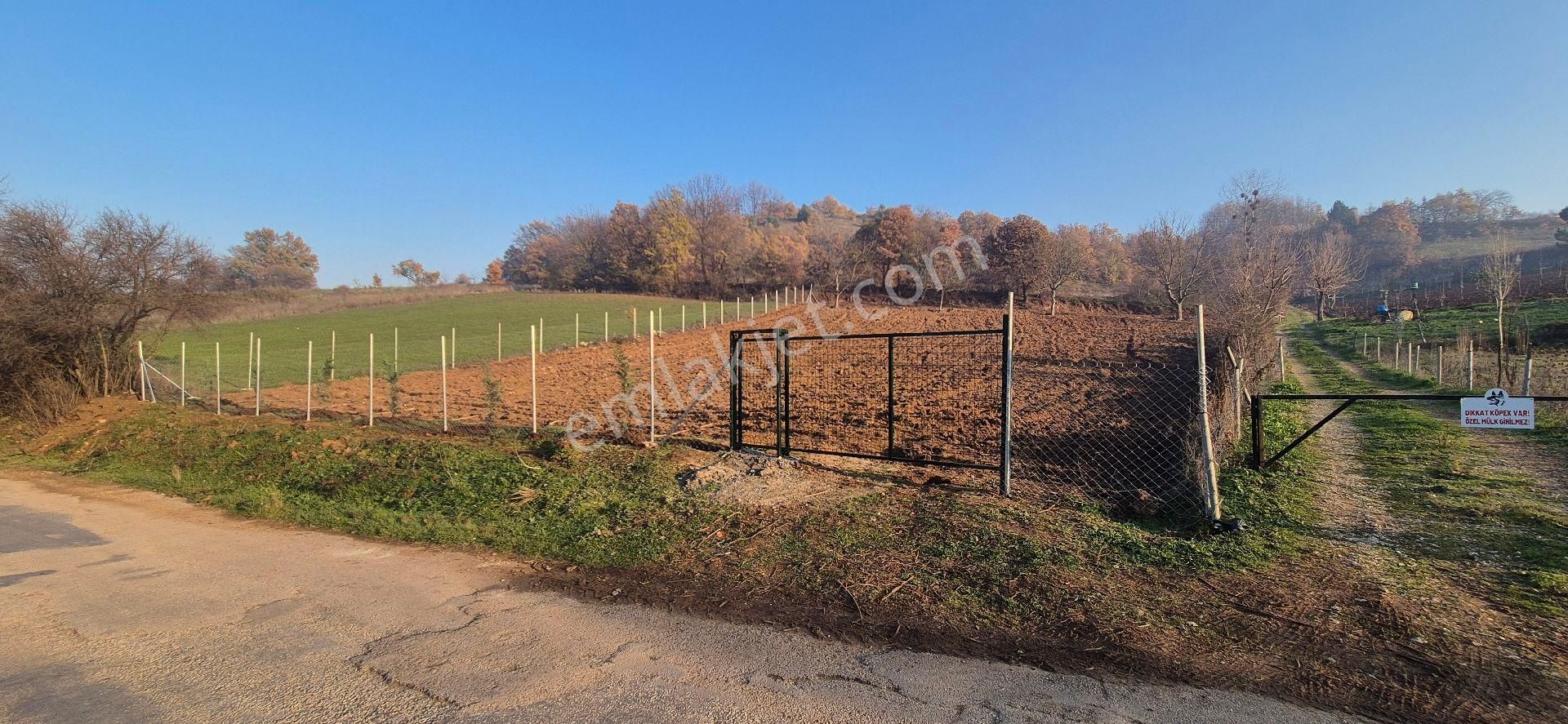 İnegöl Çitlide Asfalta Cephe 2.744 M2 Bahçe