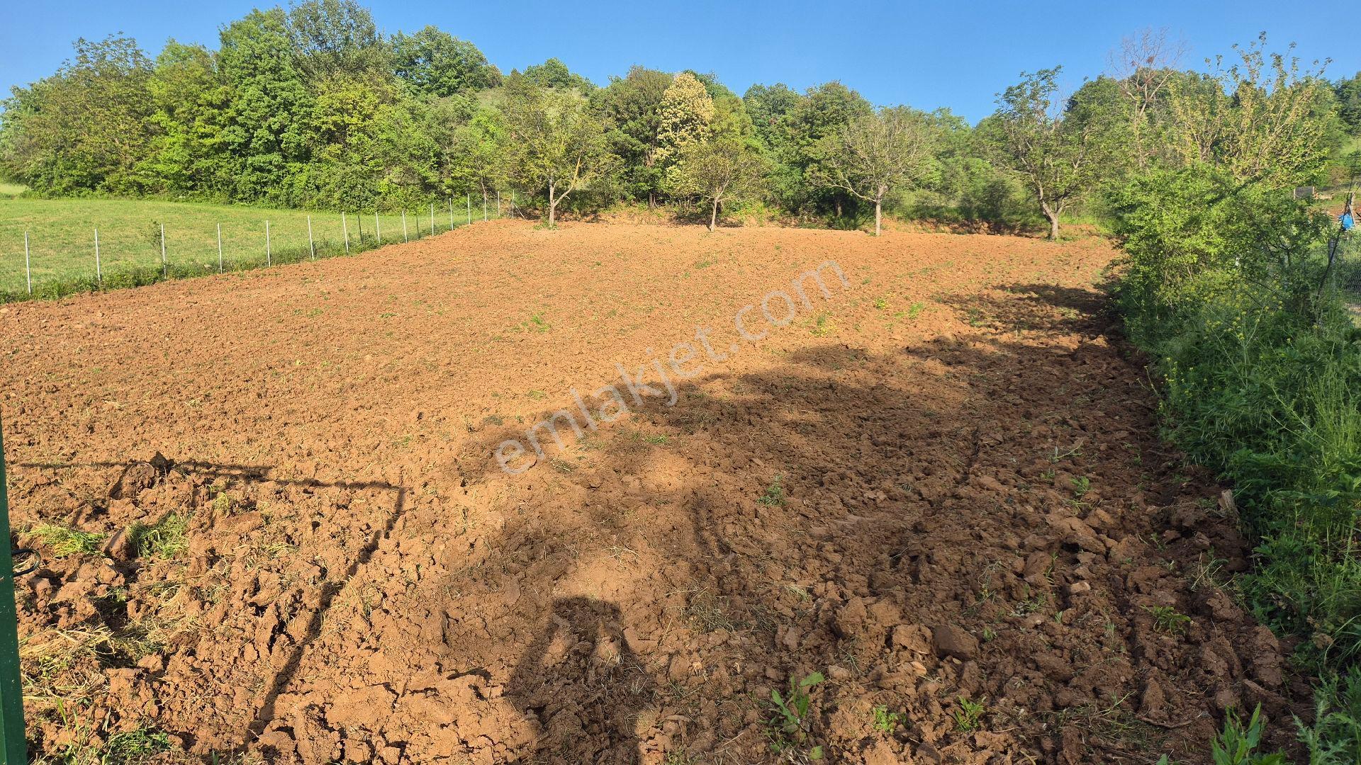 İnegöl Çitli Mahallesinde Asfalt Yola Cephe 2.744 M2 Bahçe - Görsel 8