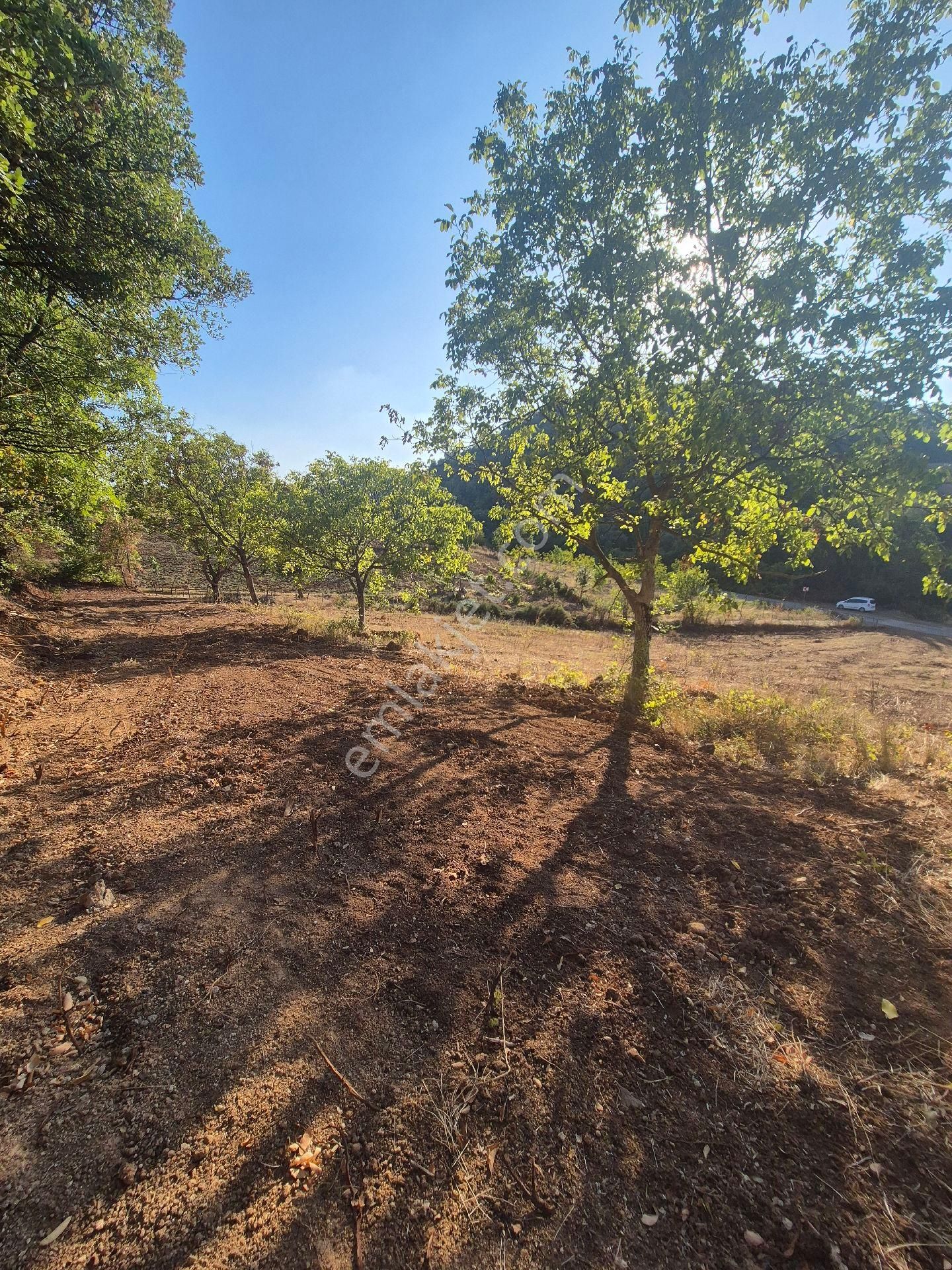 İnegöl Çitlide Asfalta Cephe 2.744 M2 Bahçe - Görsel 8