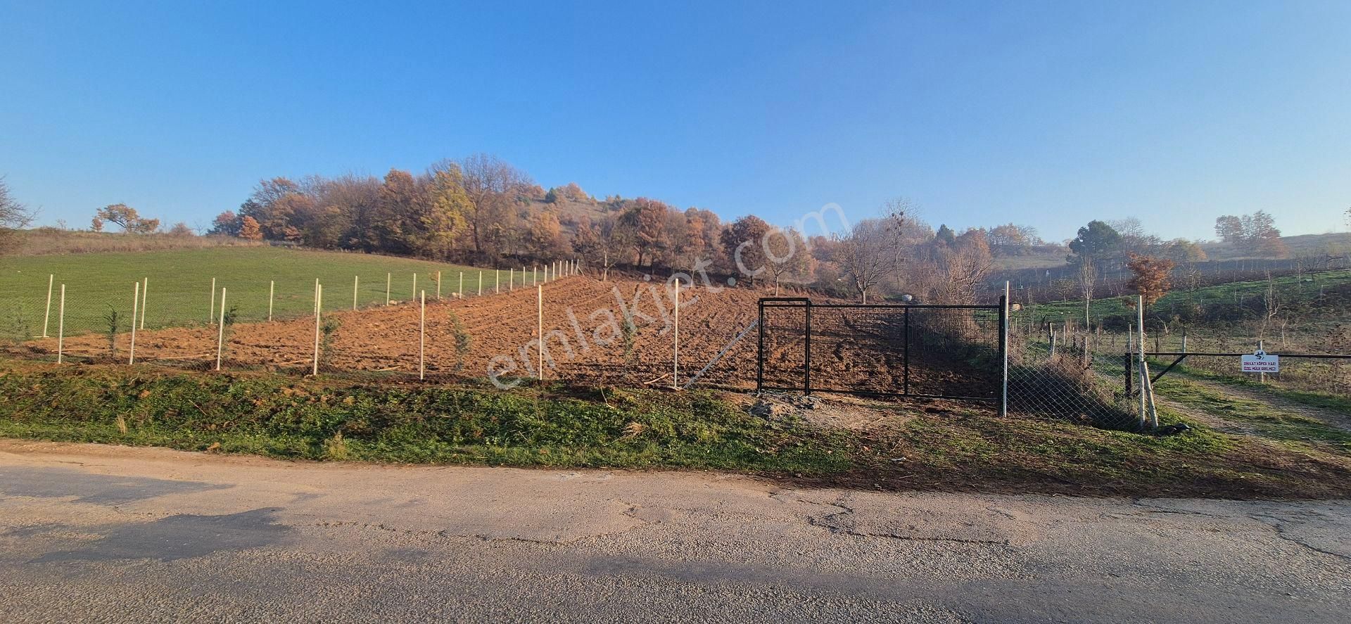 İnegöl Çitlide Asfalta Cephe 2.744 M2 Bahçe - Görsel 9