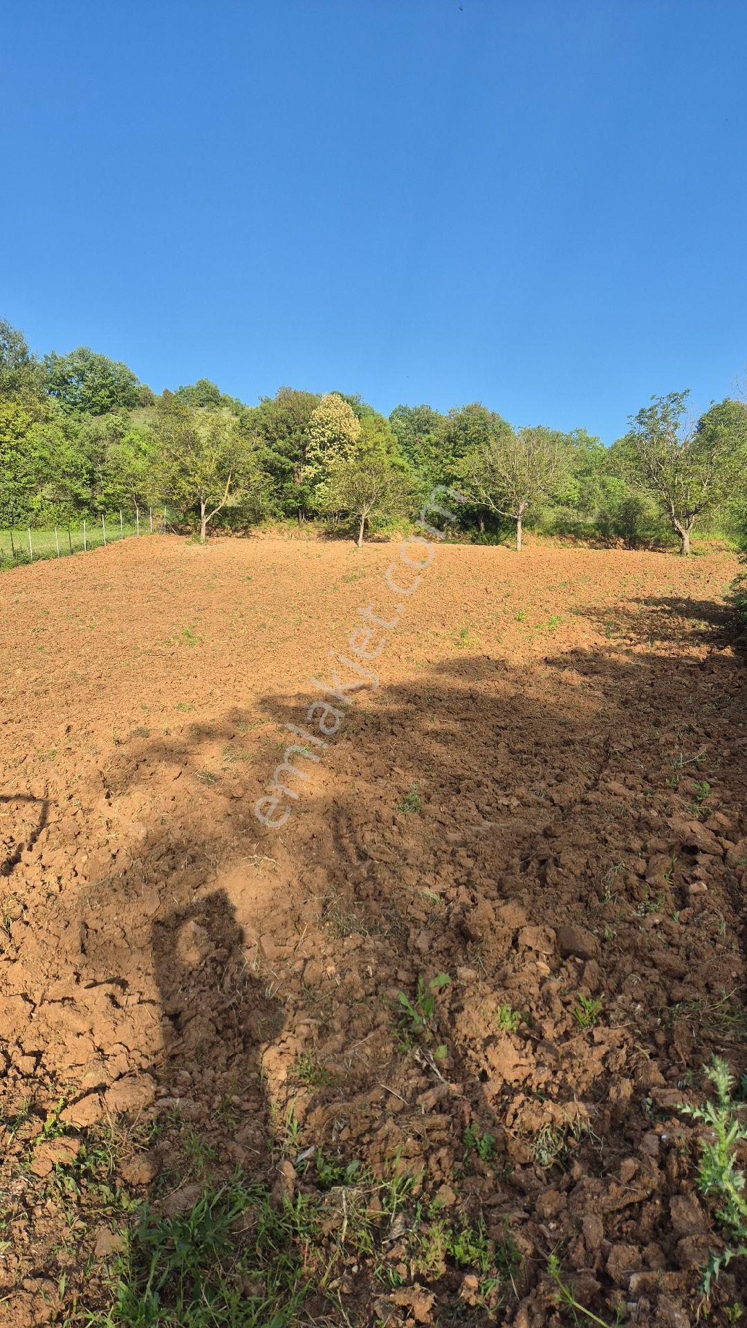 İnegöl Çitli Mahallesinde Asfalt Yola Cephe 2.744 M2 Bahçe - Görsel 9