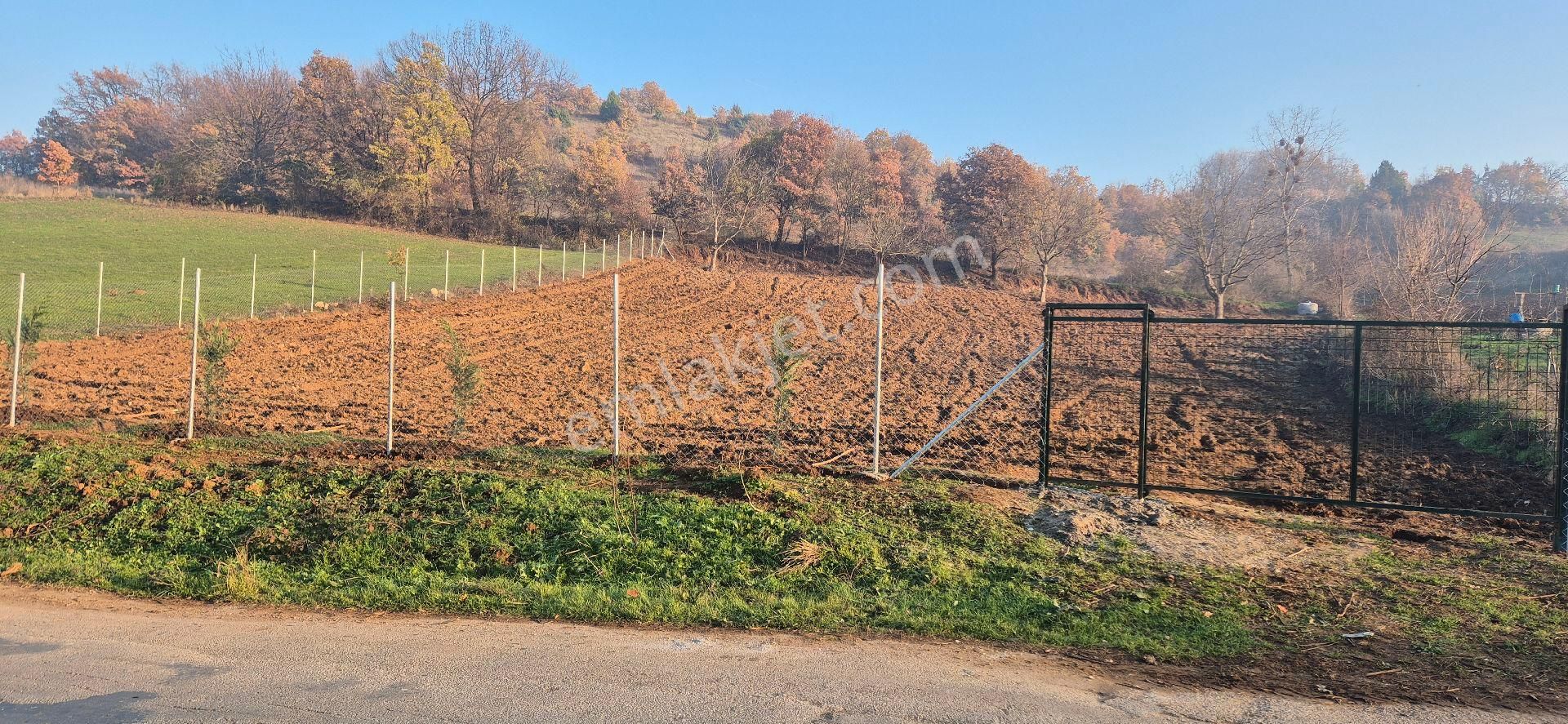 İnegöl Çitlide Asfalta Cephe 2.744 M2 Bahçe - Görsel 11