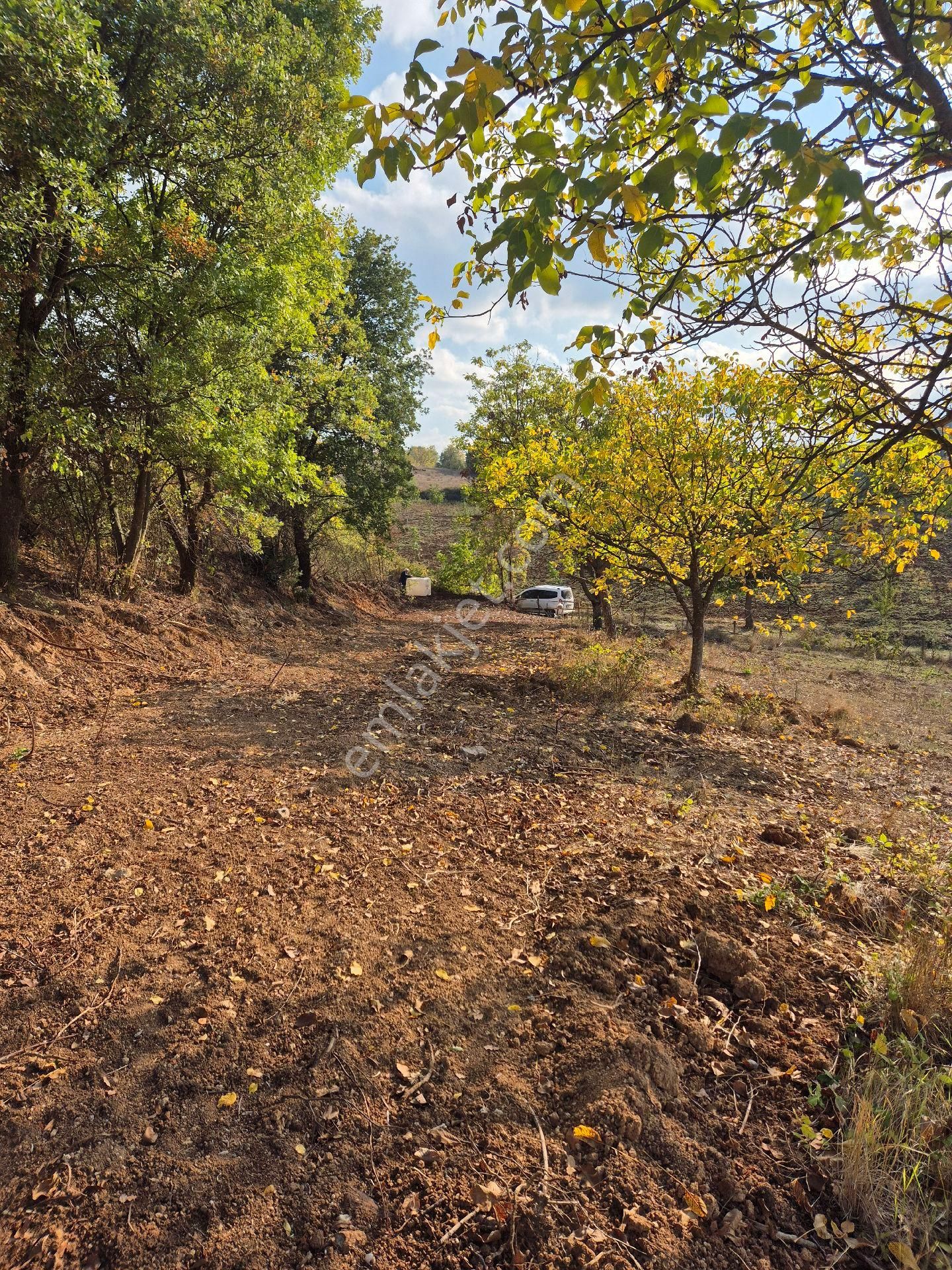 İnegöl Çitlide Asfalta Cephe 2.744 M2 Bahçe - Görsel 2