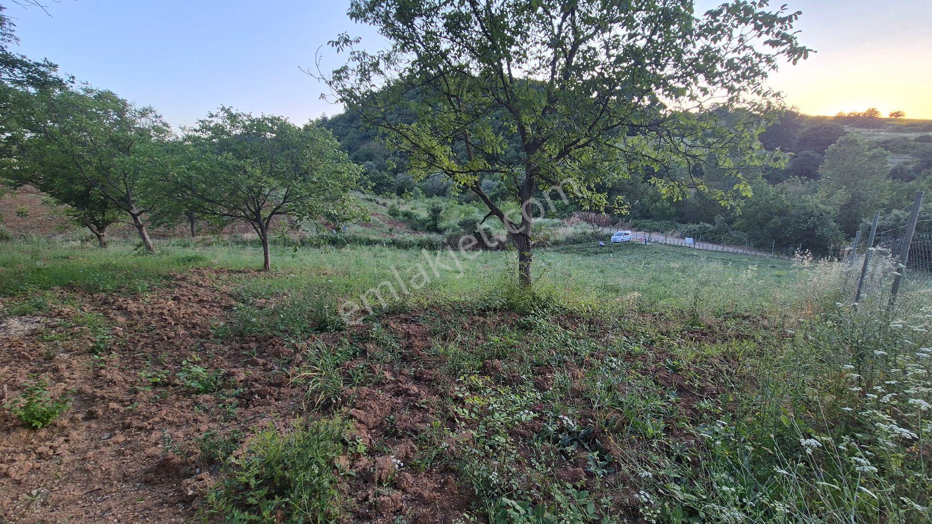 İnegöl Çitli Mahallesinde Asfalt Yola Cephe 2.744 M2 Bahçe - Görsel 10