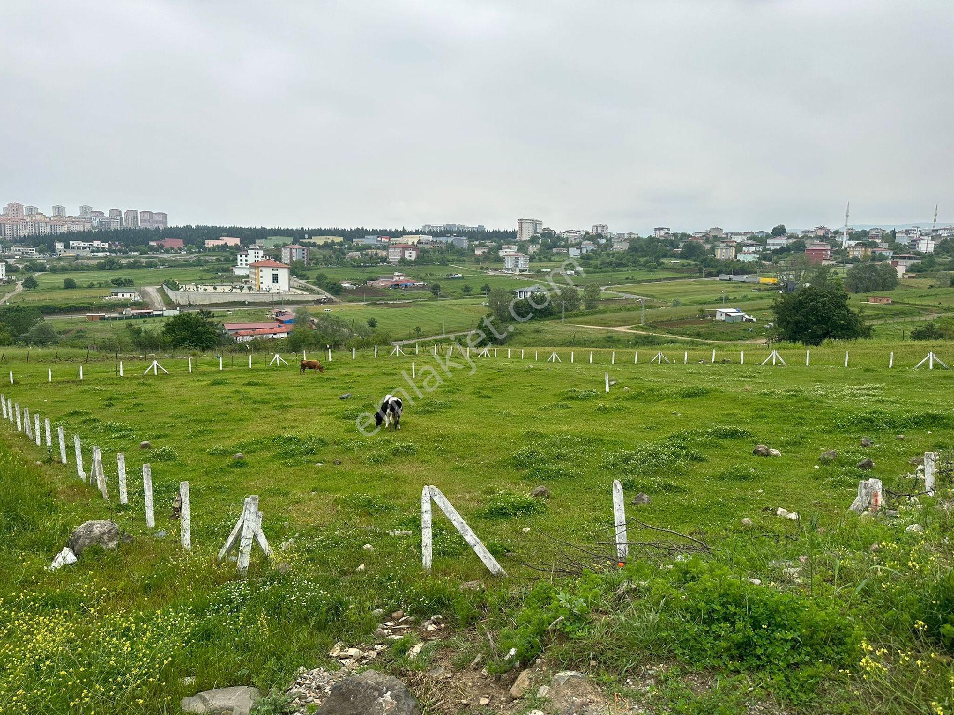 Furkan Emlak'tan Kıran Mah.750m2 5 Kata İmarlıtektapu Arsa