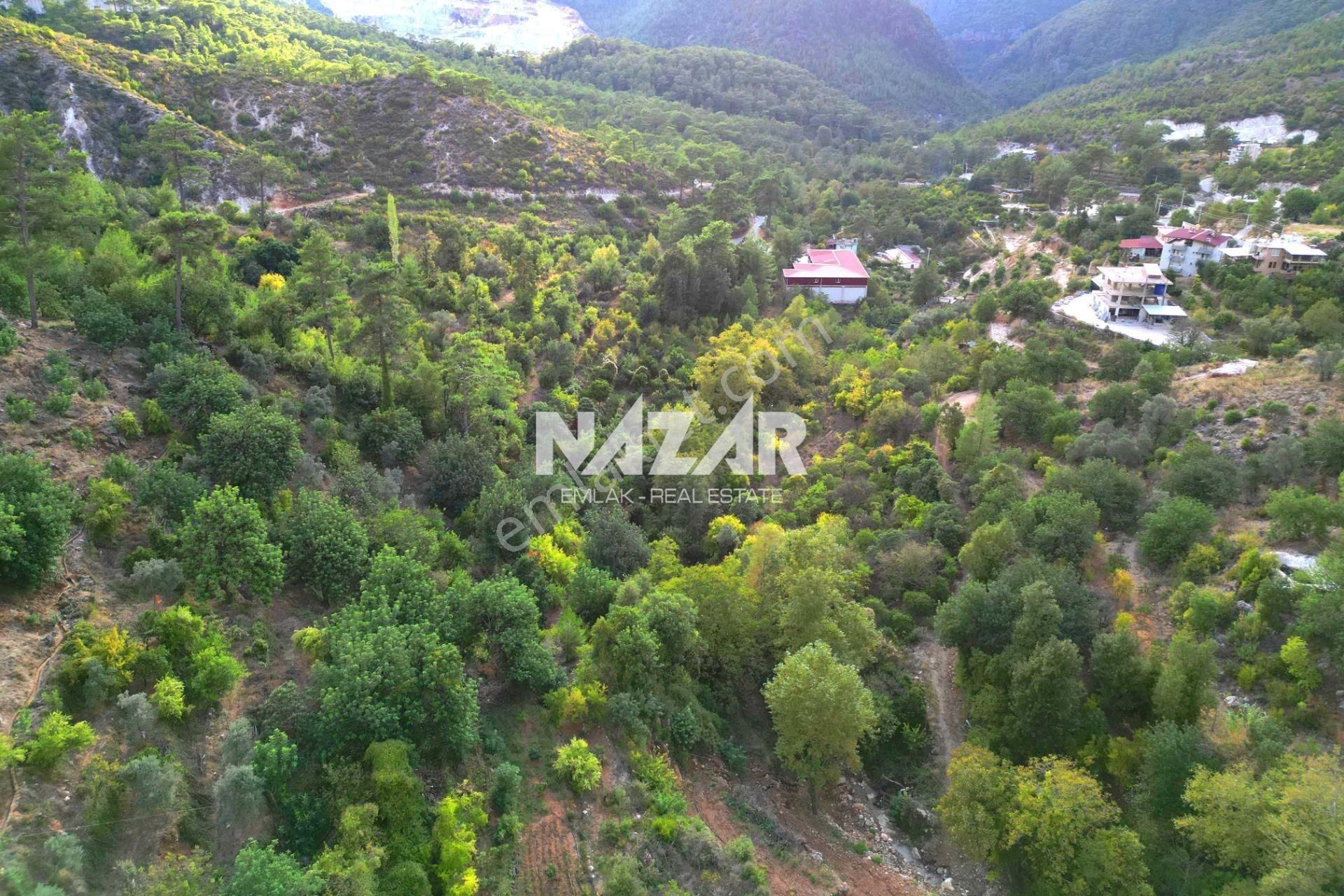 Alanya Obaalacami Köyü’nde Satılık 2.033 M² Tarla - Görsel 6