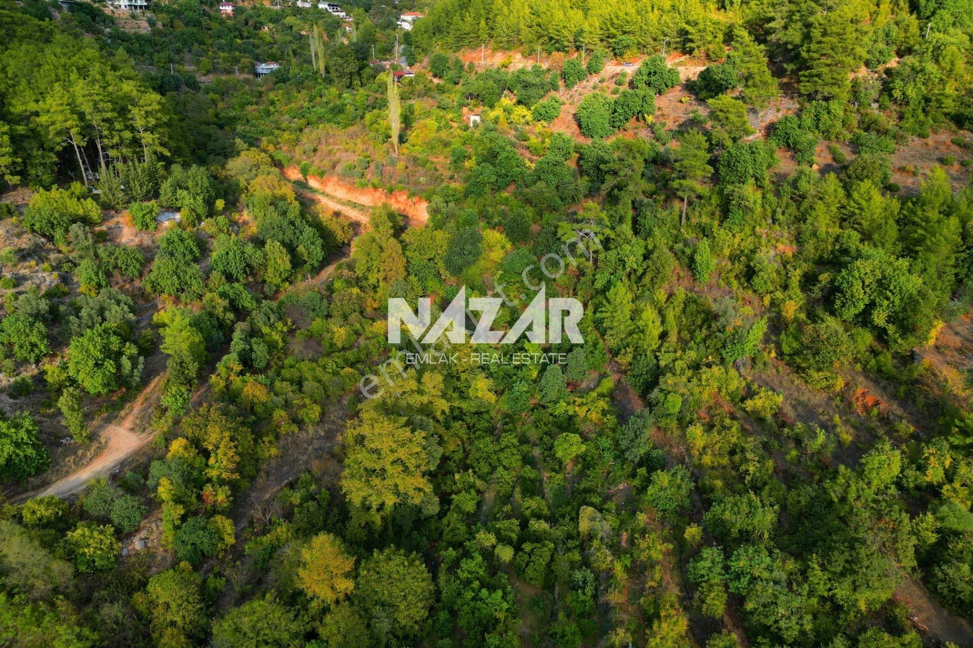 Alanya Obaalacami Köyü’nde Satılık 2.033 M² Tarla - Görsel 8