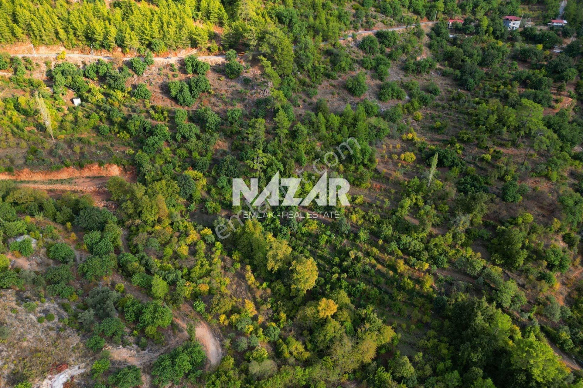Alanya Obaalacami Köyü’nde Satılık 2.033 M² Tarla - Görsel 7