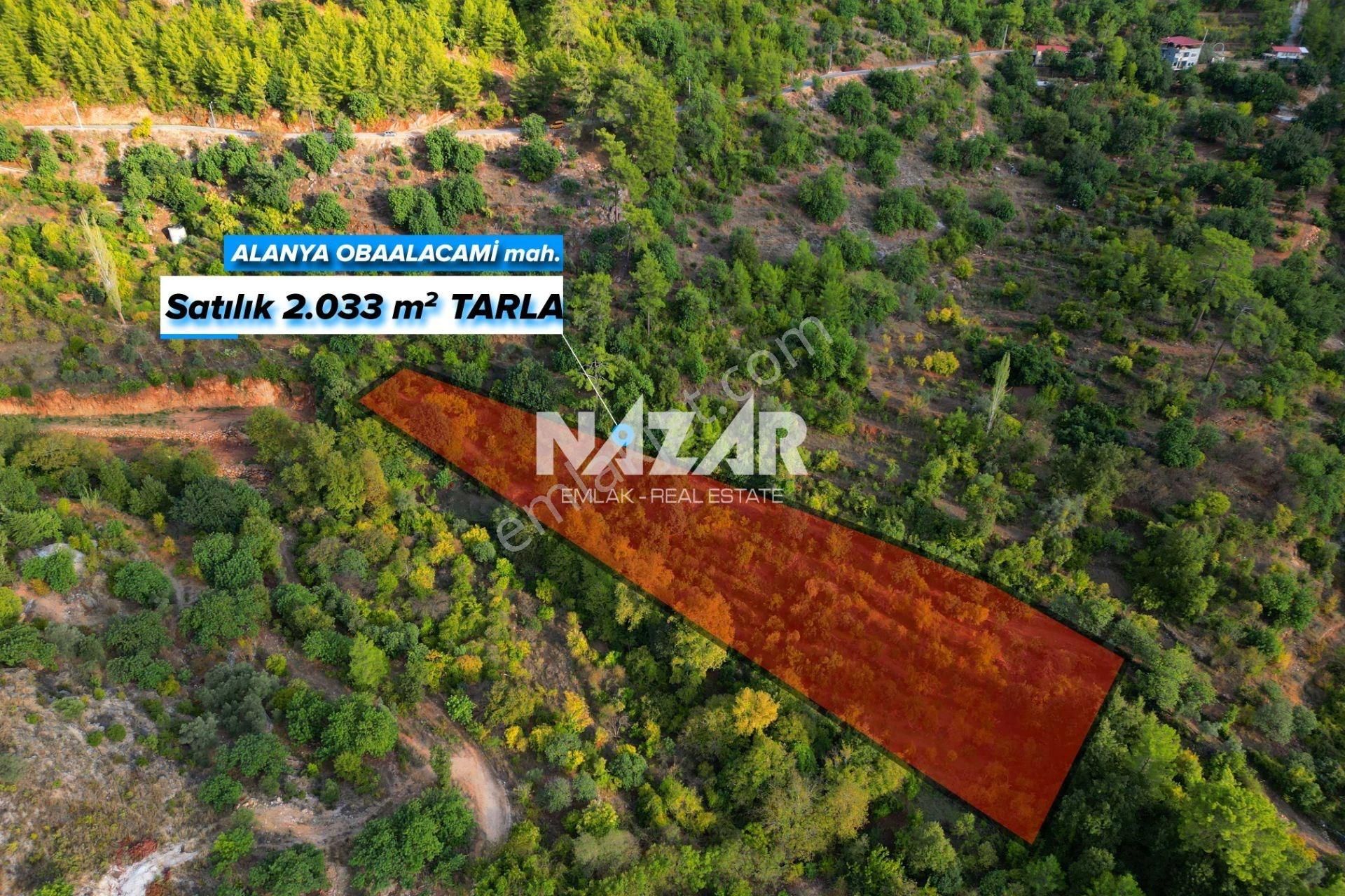Alanya Obaalacami Köyü’nde Satılık 2.033 M² Tarla - Görsel 2