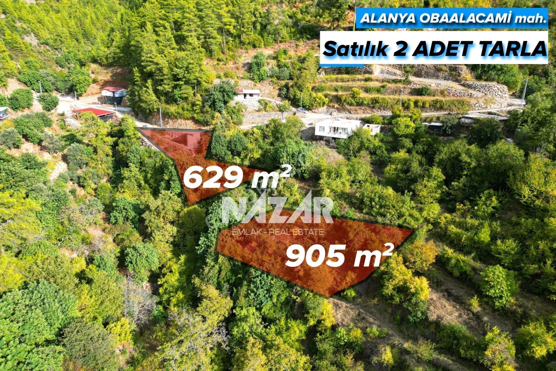 Alanya Obaalacami Köyü’nde Satılık 1.534 M² Tarla - Görsel 2