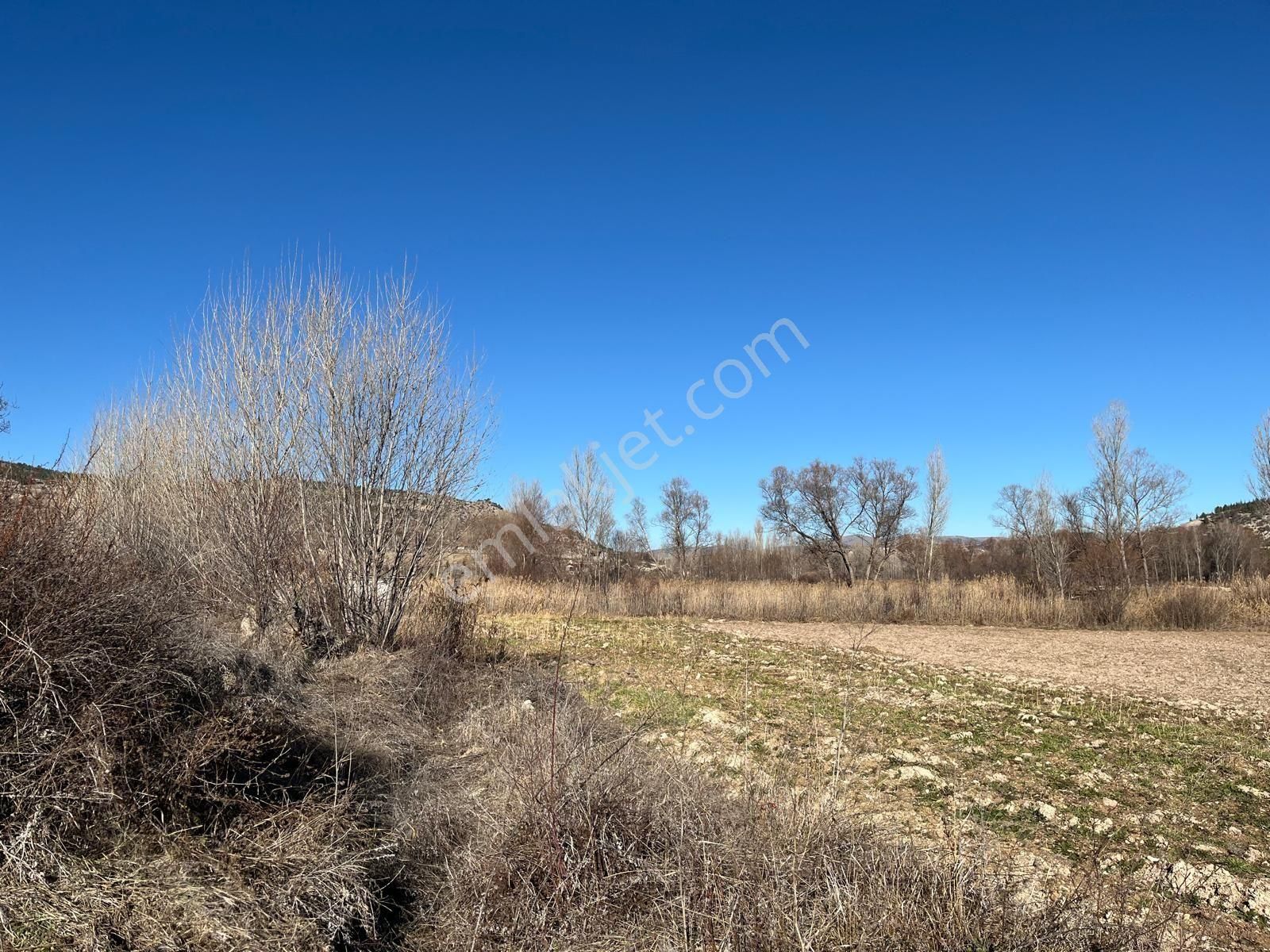 Başarakavakta Müstakil 1766m2 Yolu Olan Satılık Bahçe Yeri - Görsel 2