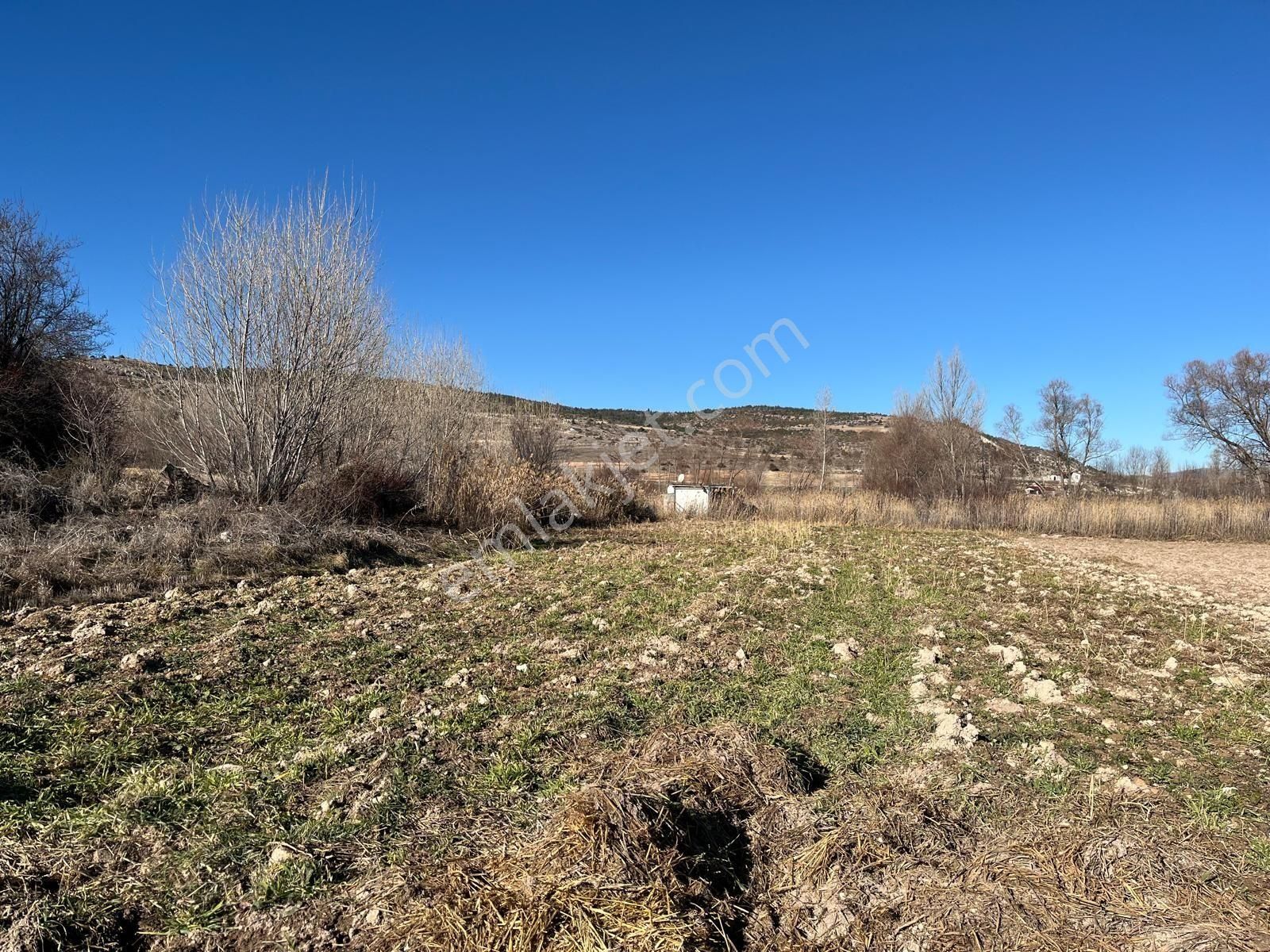 Başarakavakta Müstakil 1766m2 Yolu Olan Satılık Bahçe Yeri - Görsel 13