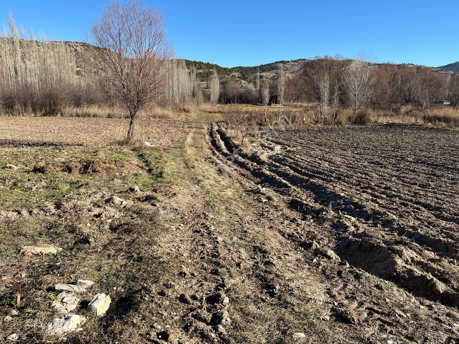Başarakavakta Müstakil 1766m2 Yolu Olan Satılık Bahçe Yeri - Görsel 12