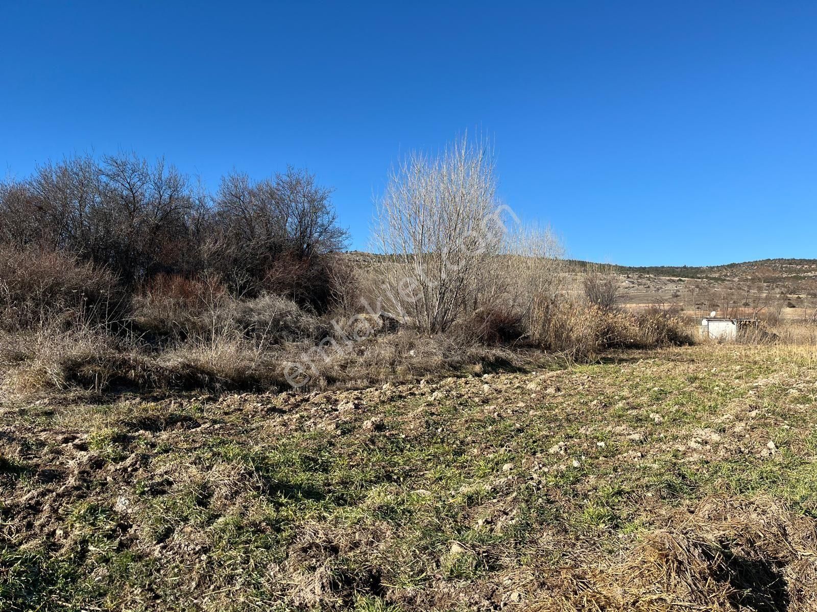Başarakavakta Müstakil 1766m2 Yolu Olan Satılık Bahçe Yeri - Görsel 4