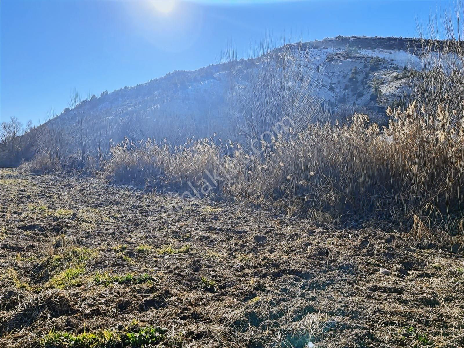 Başarakavakta Müstakil 1766m2 Yolu Olan Satılık Bahçe Yeri - Görsel 10