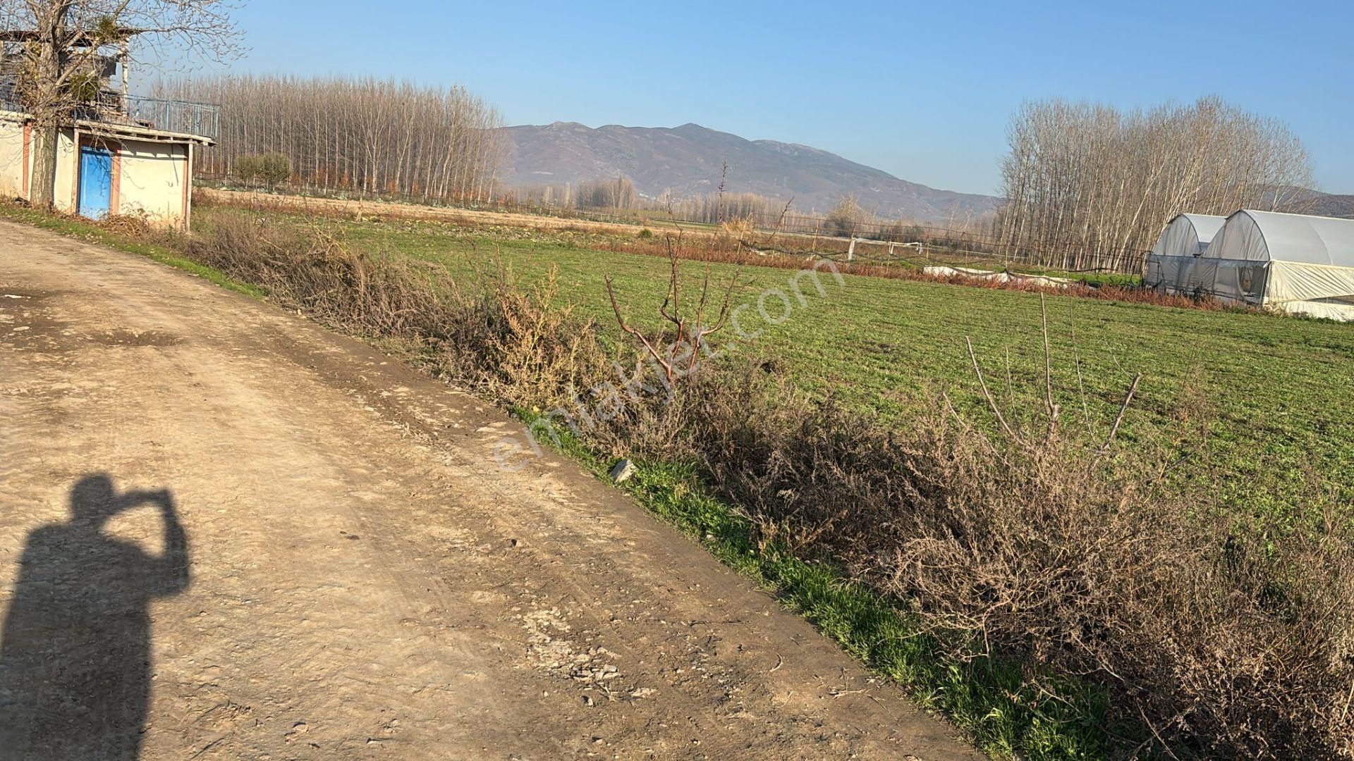 Tek Tapu 2.193m2 Arsa Gümenek Parkına 350 Metre - Görsel 2