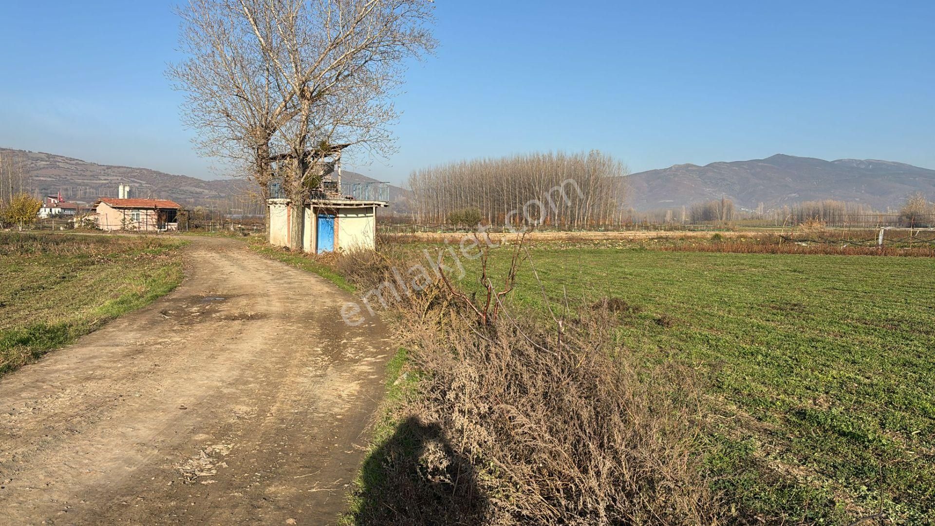 Tek Tapu 2.193m2 Arsa Gümenek Parkına 350 Metre