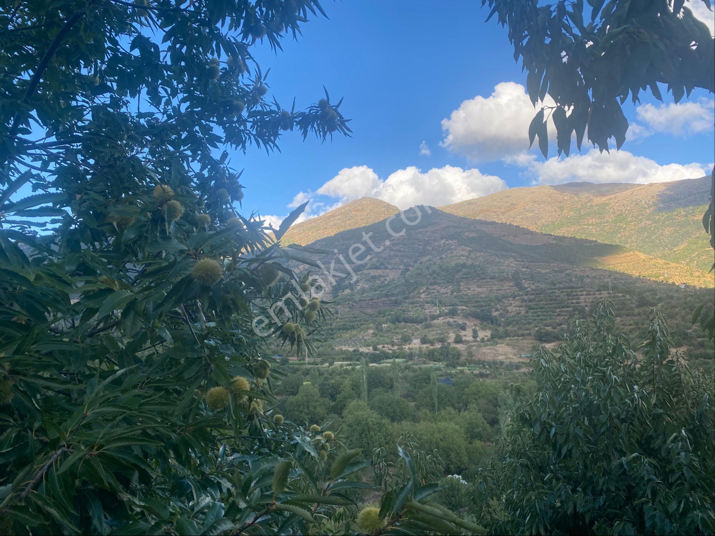 İzmir Ödemişte Satılık Arazi - Görsel 18
