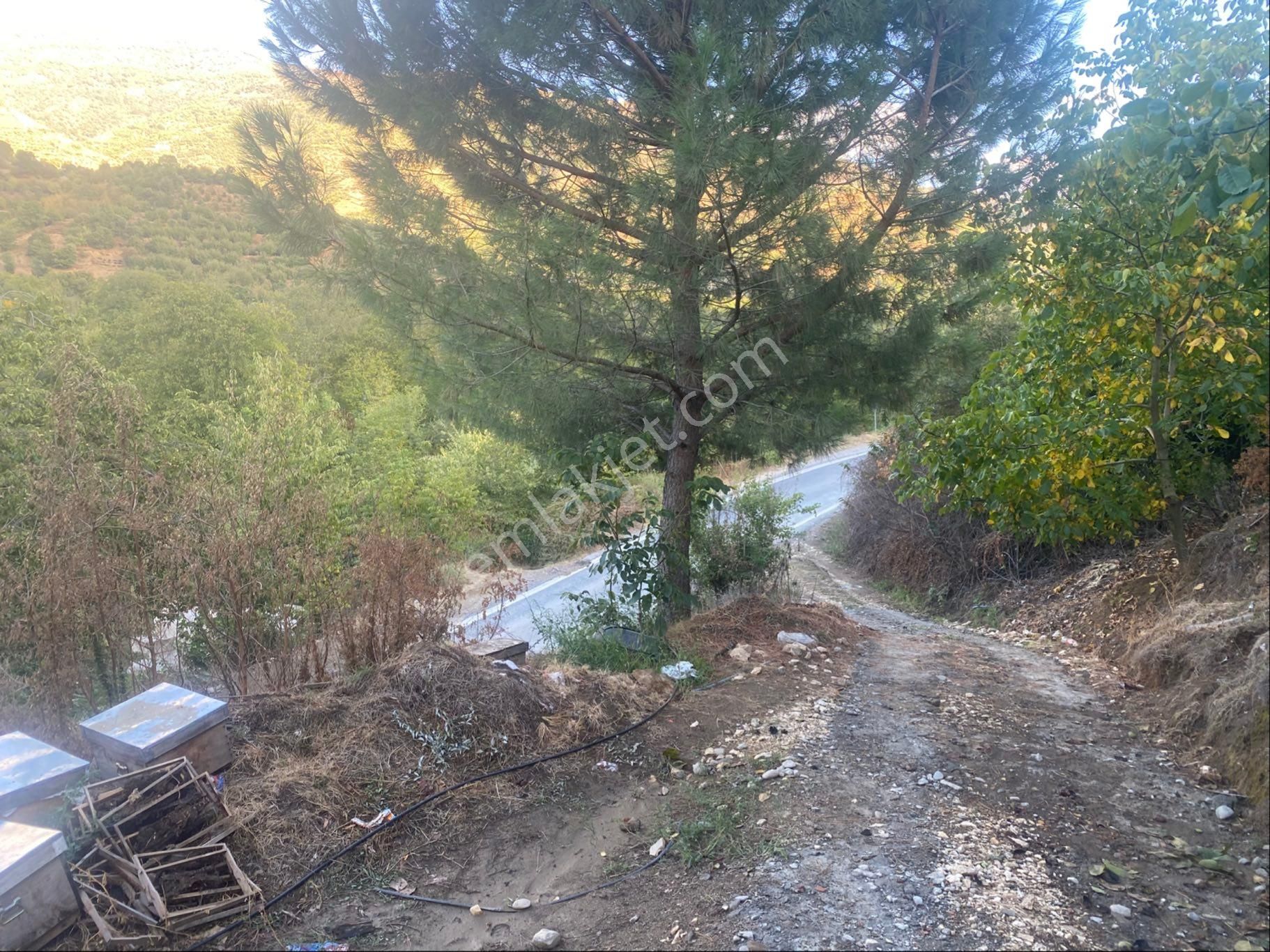İzmir Ödemişte Satılık Arazi - Görsel 6